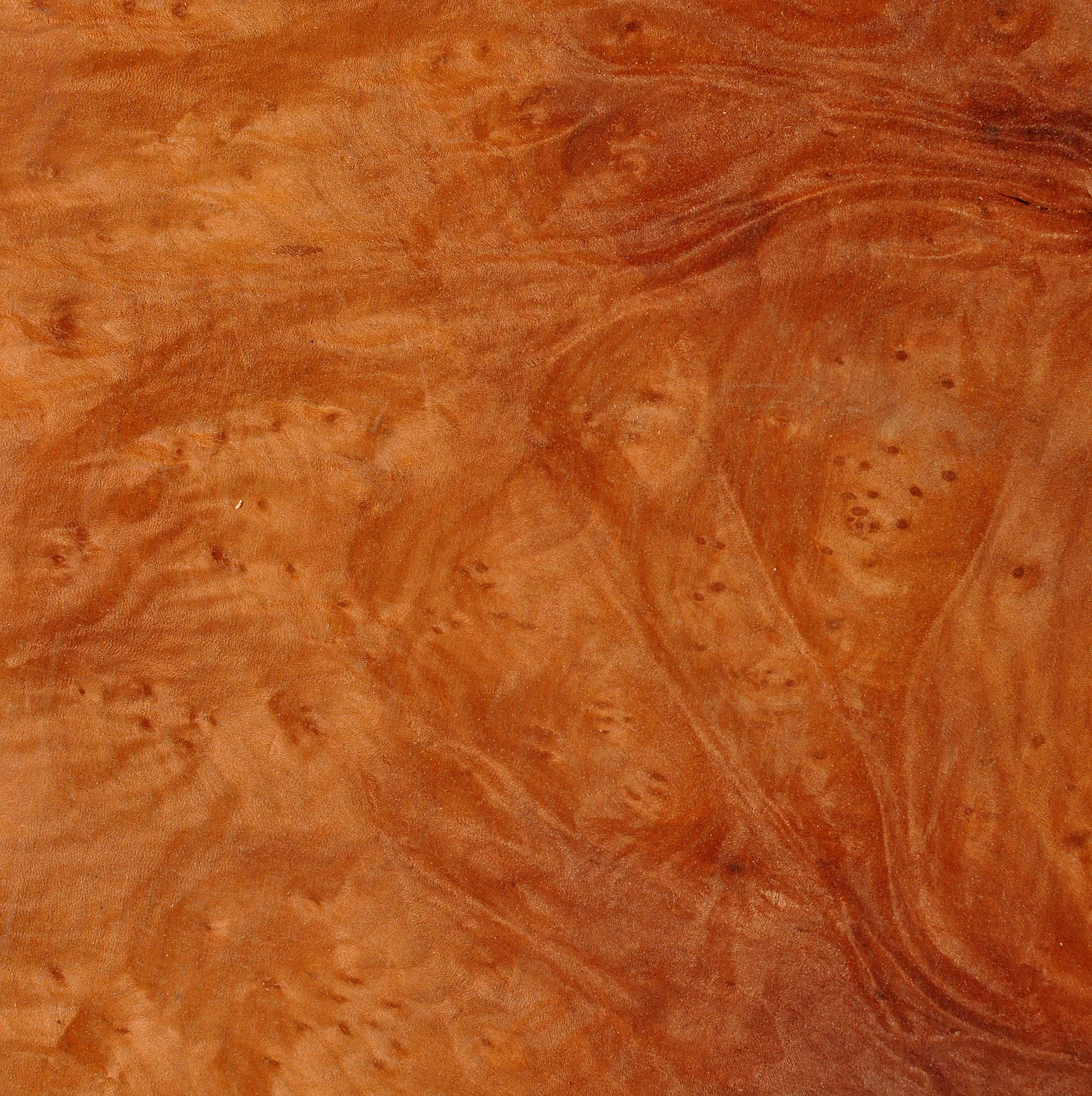 Madrone Burl