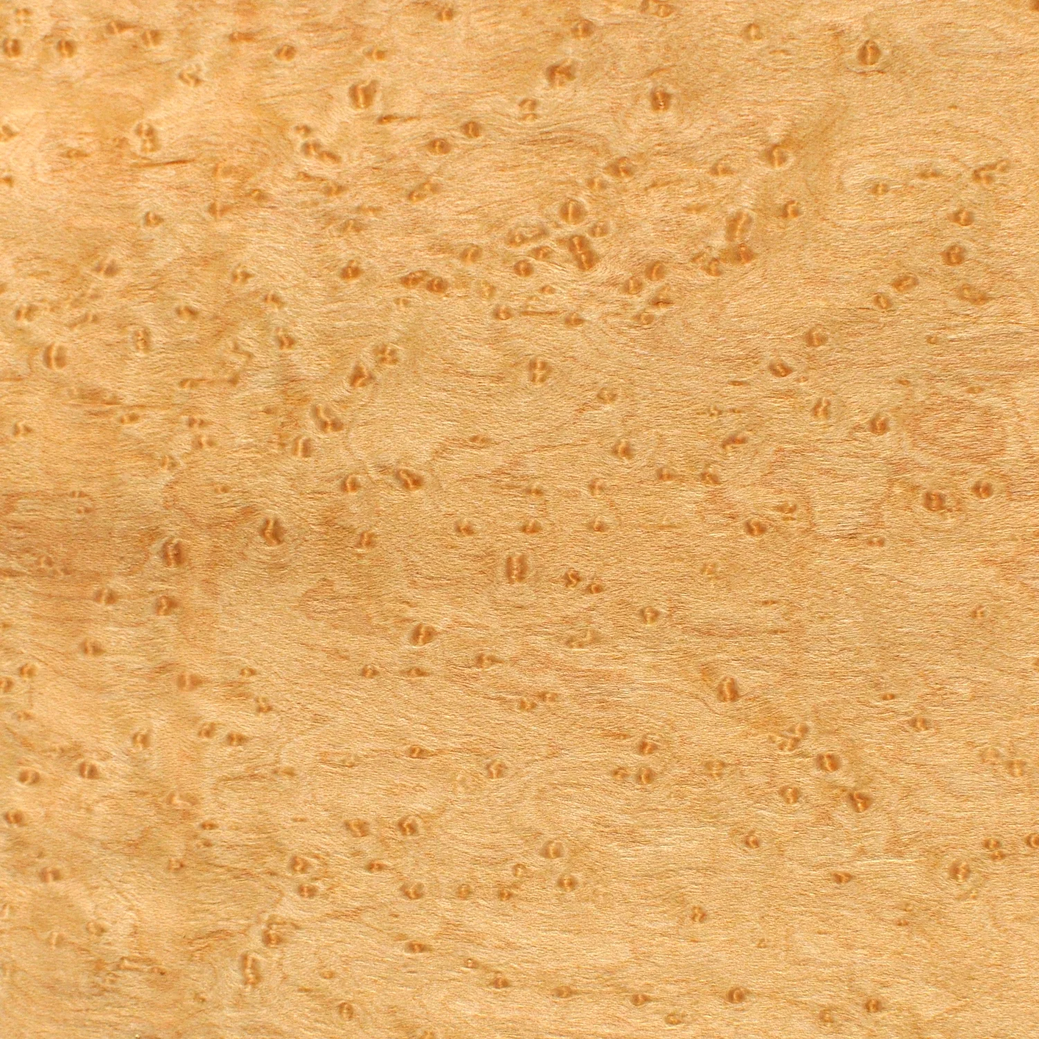 Birdseye Maple