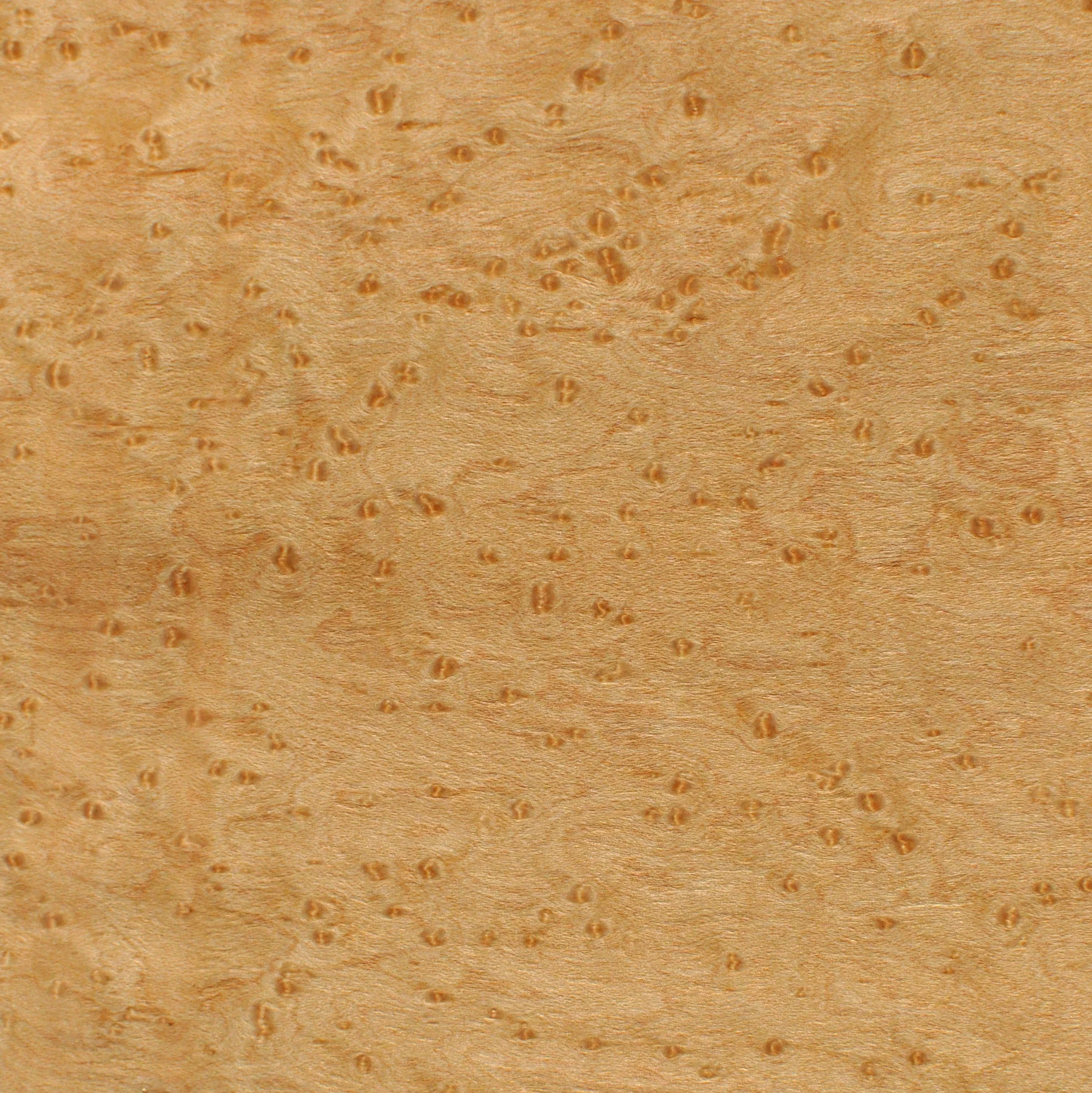 Birds Eye maple
