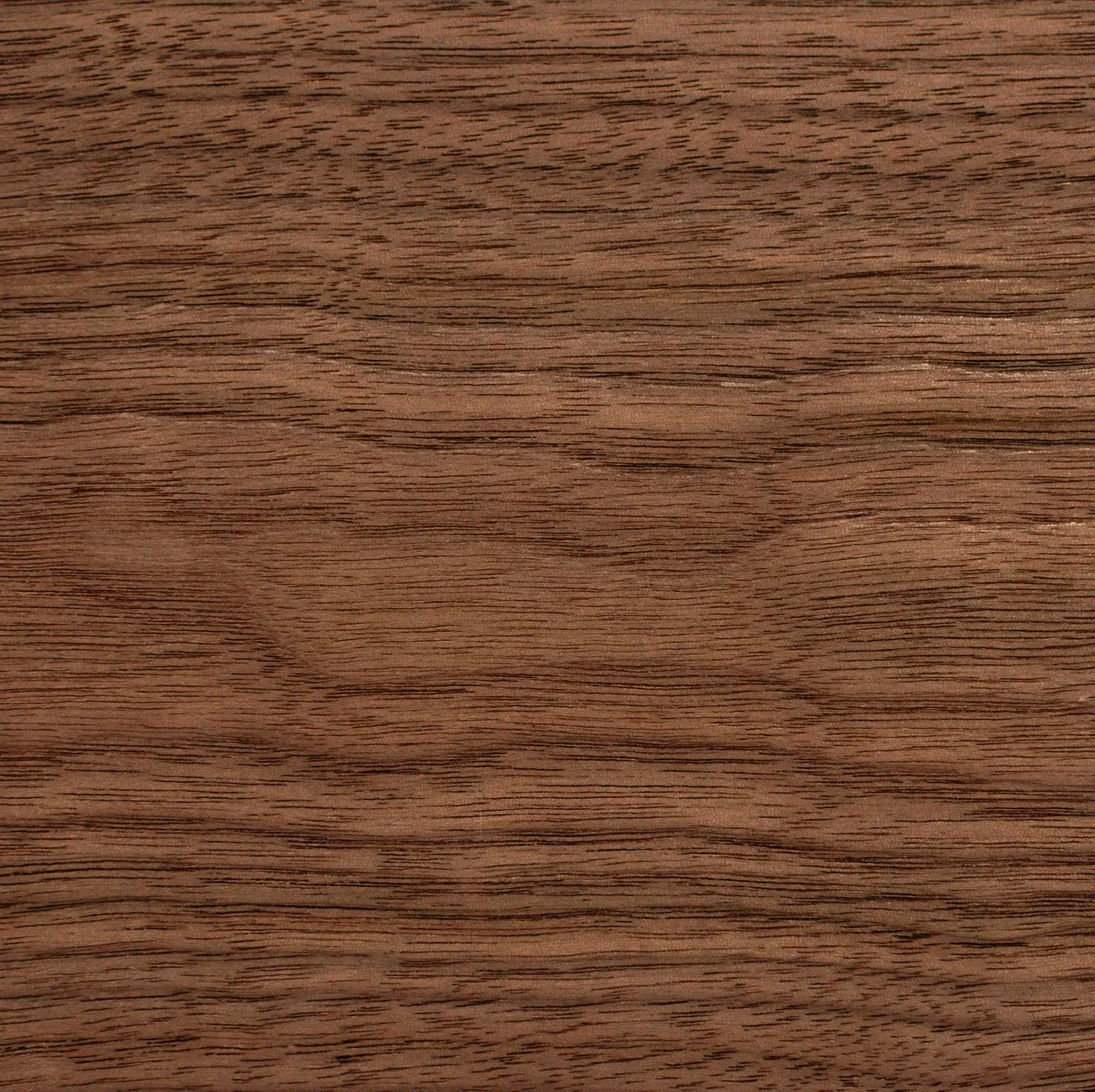 Walnut 1/4 cut