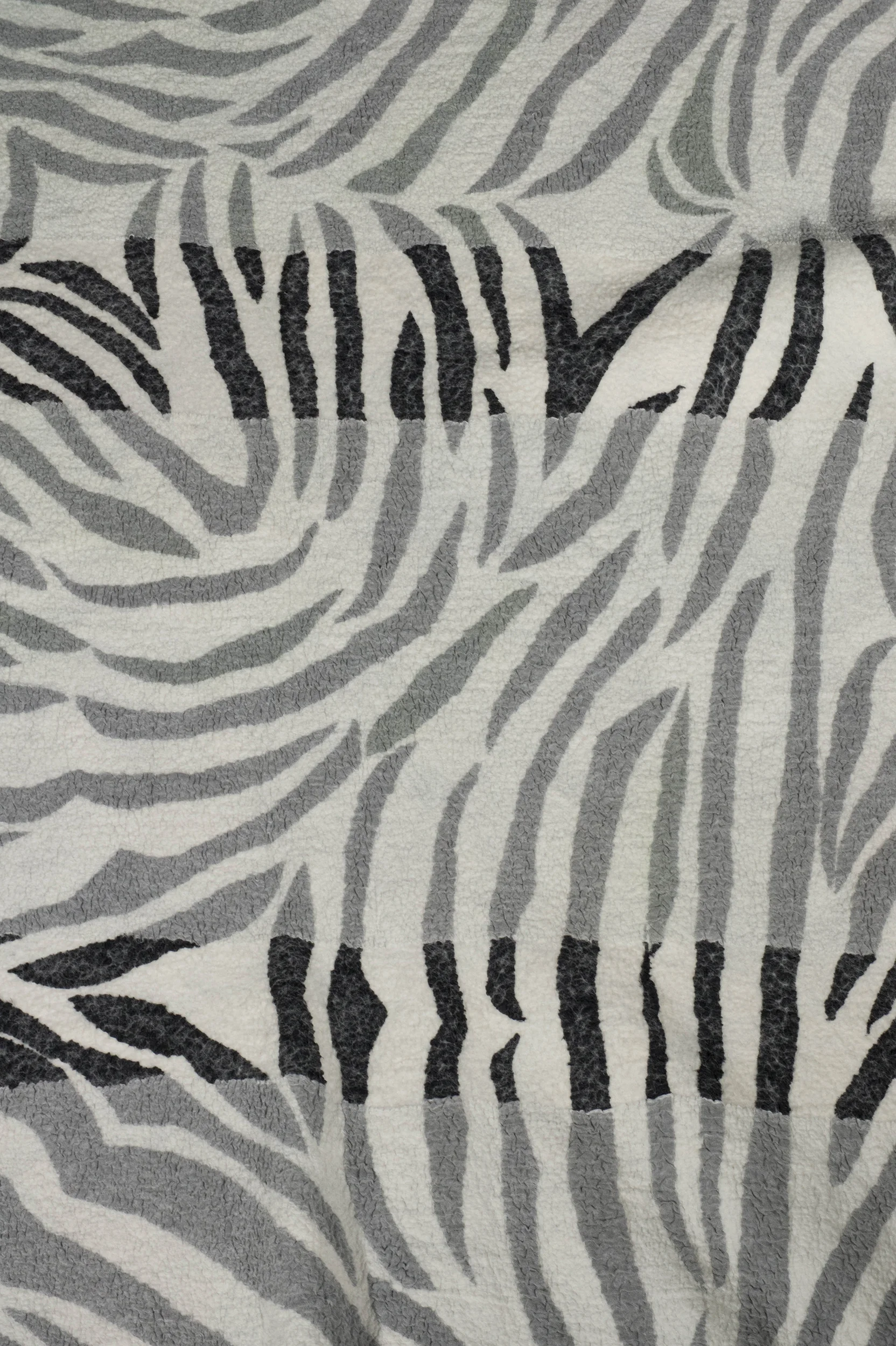 zebradetail4.jpg
