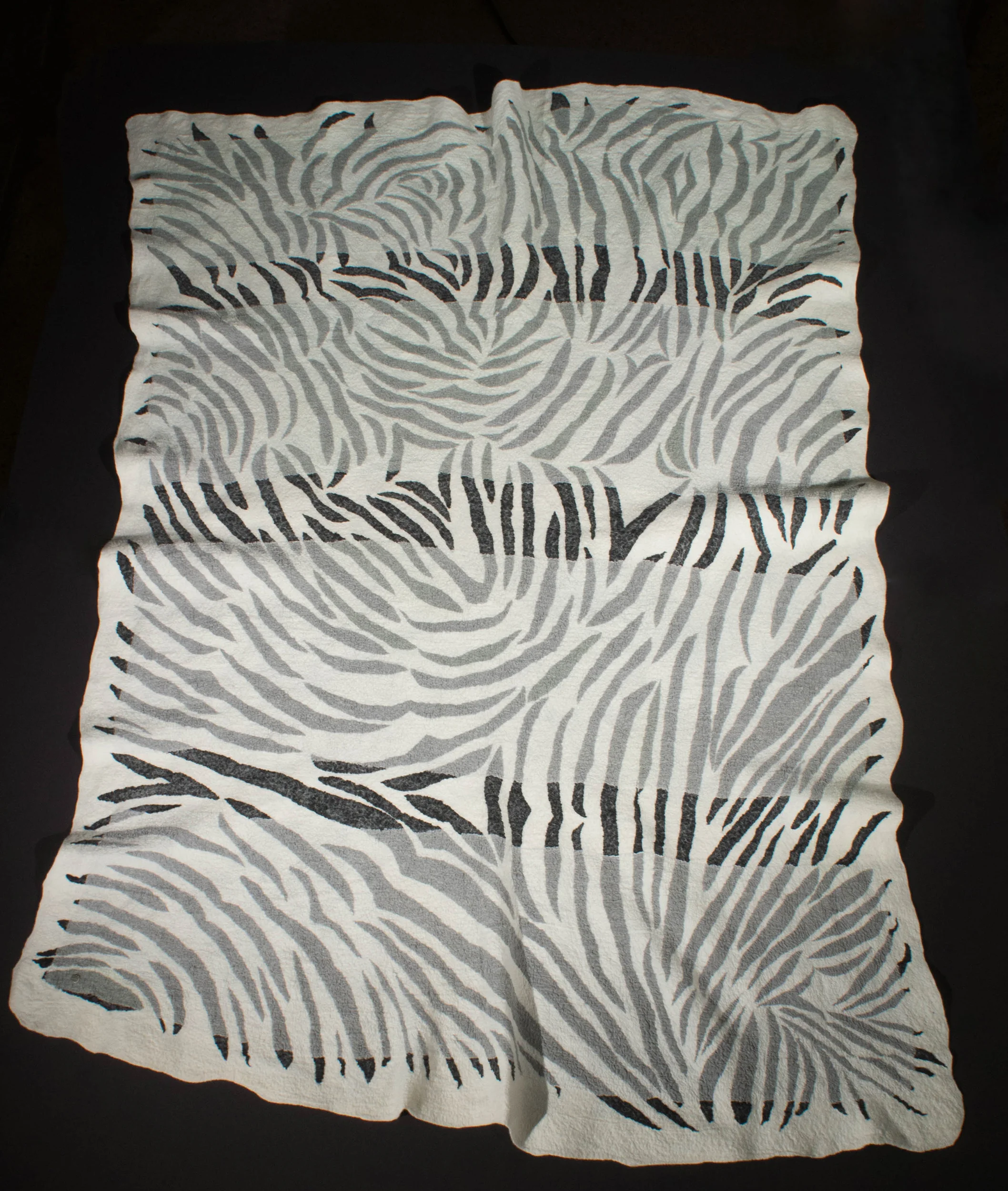 zebraoverhead.jpg