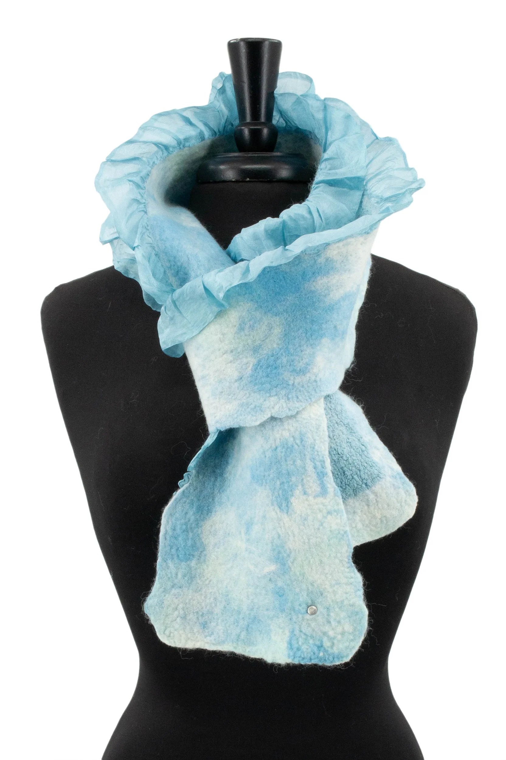 5XR bluebird beauty.jpg