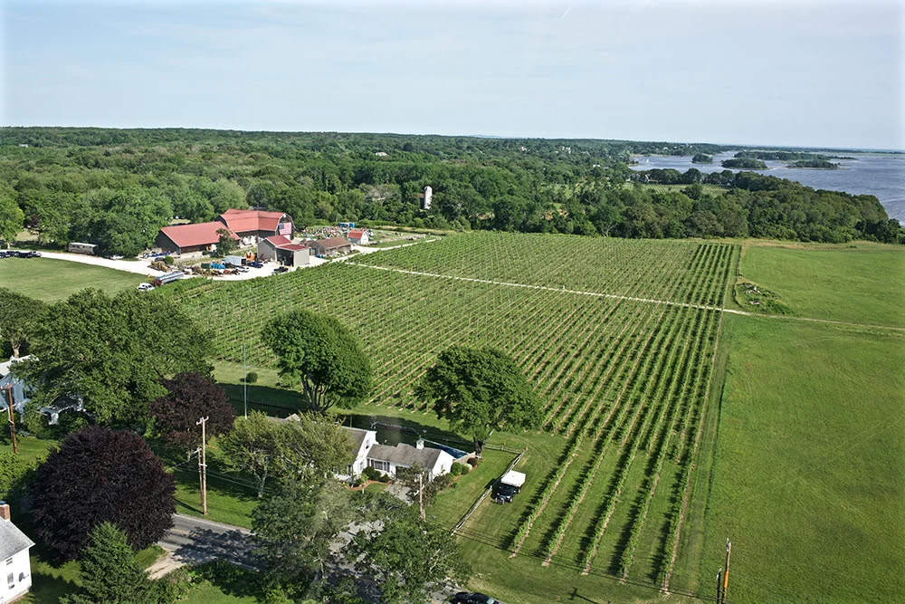 Their farm is the home of the fourth generation of a family of winegrowers.
