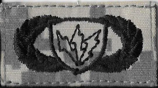 Basic Communications Badge