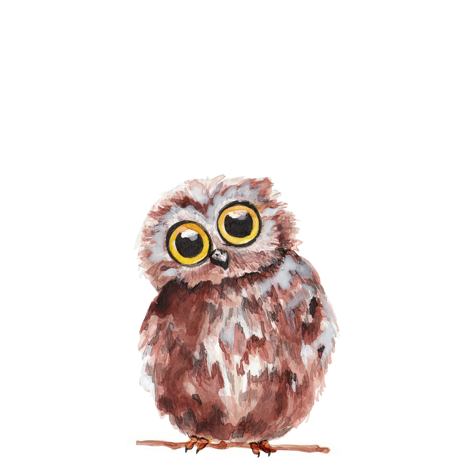 Owlet.jpg