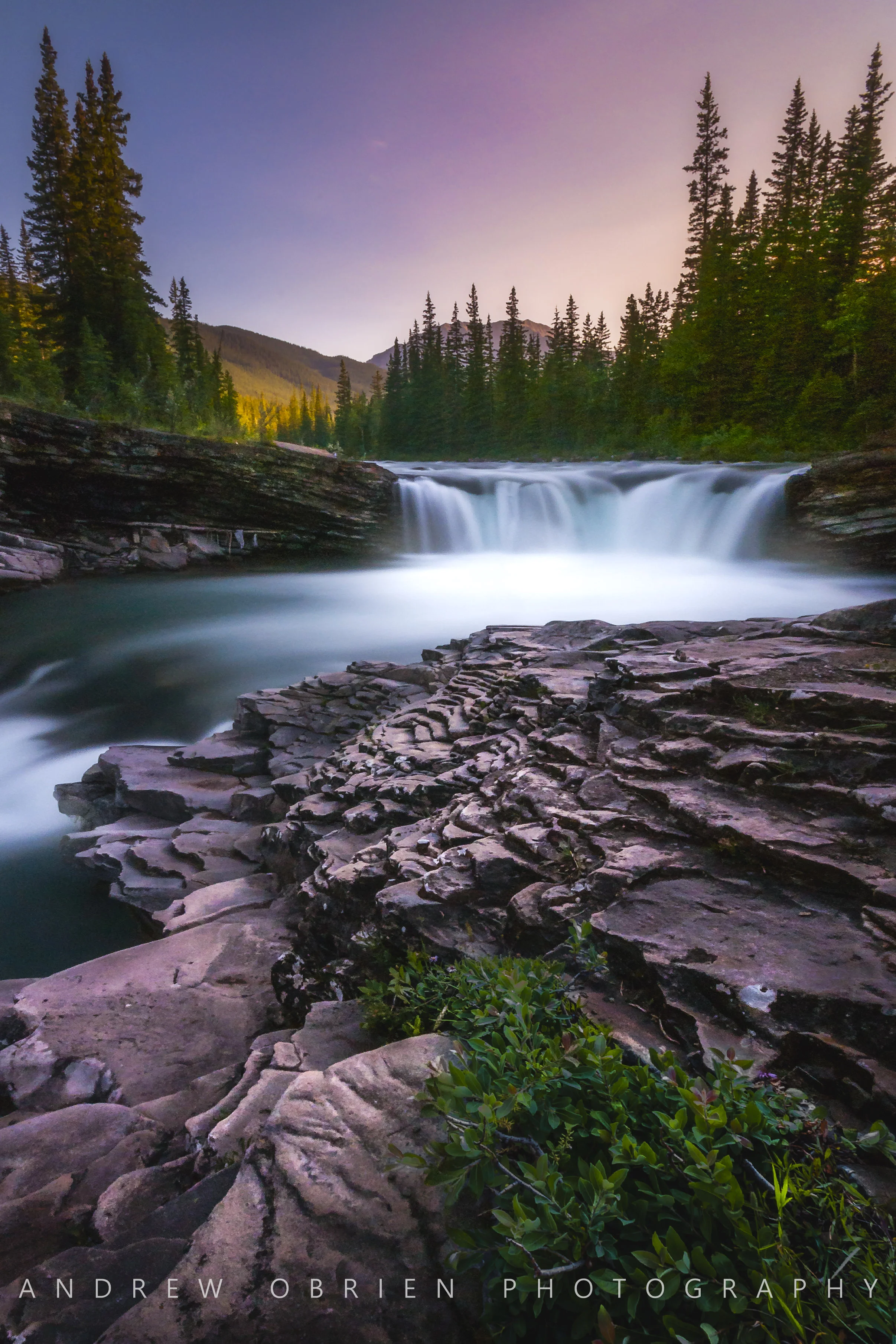 DSC_0238-Edit.jpg