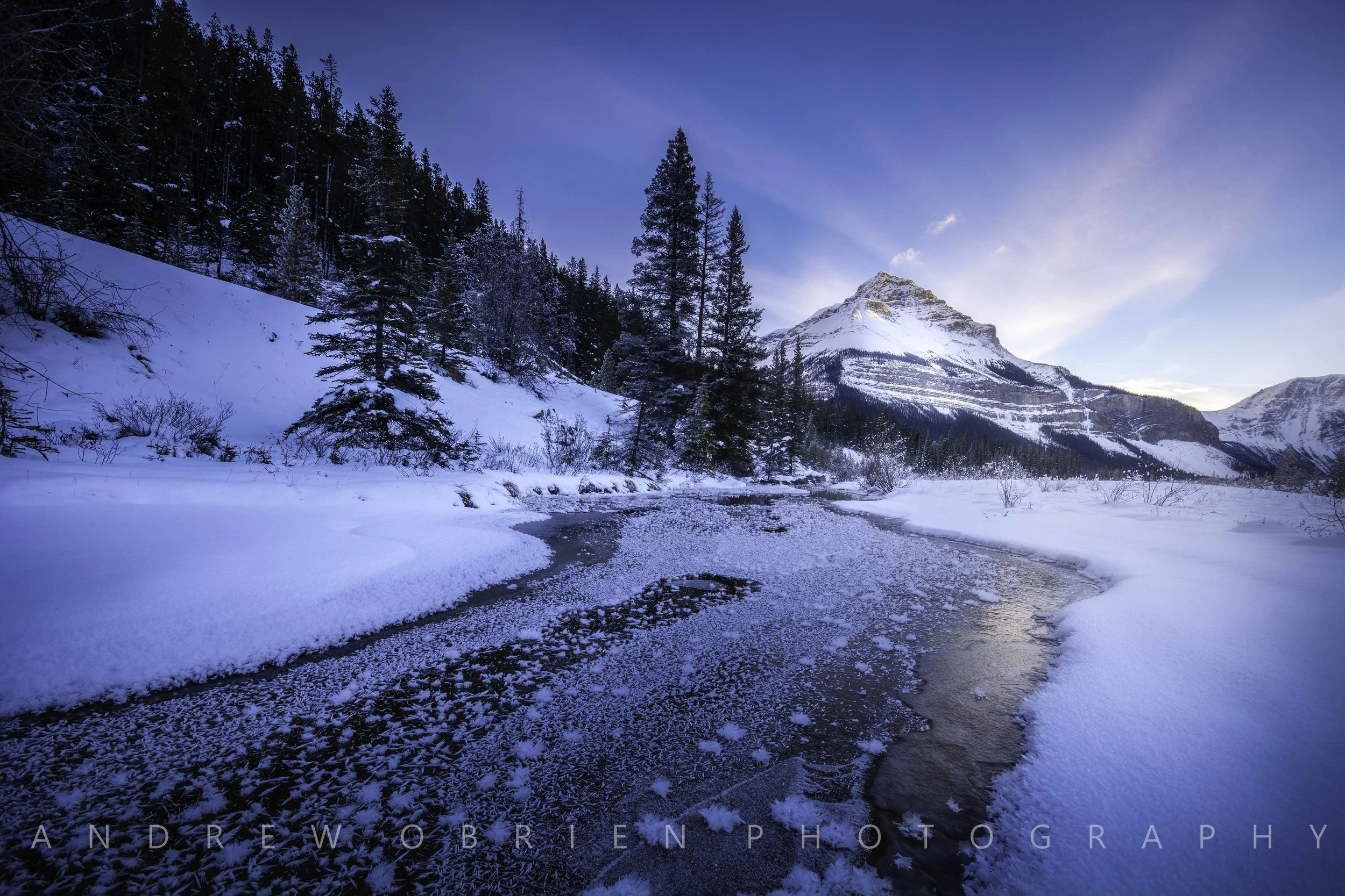 DSC_1919-Edit.jpg