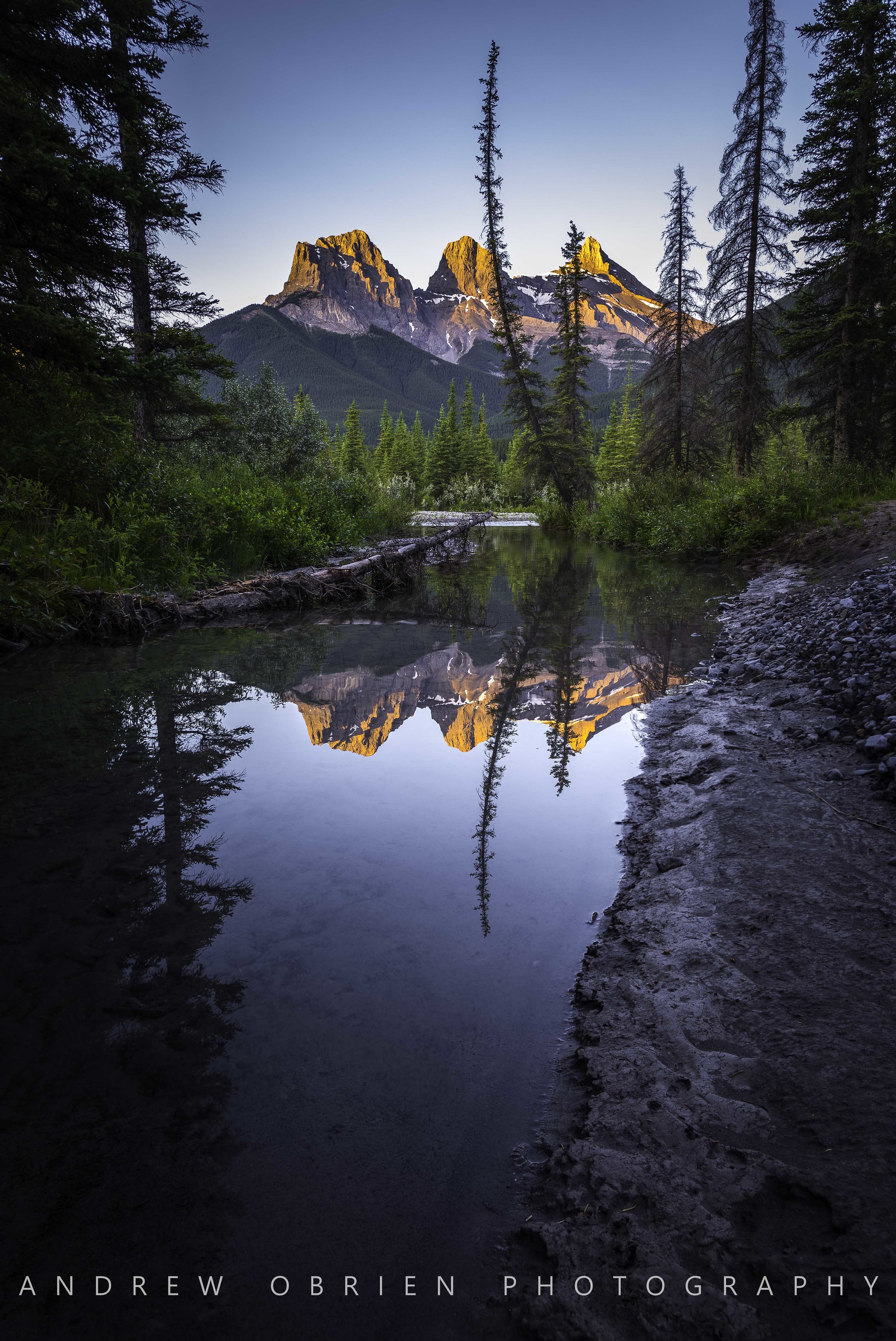 DSC_7820-Edit.jpg