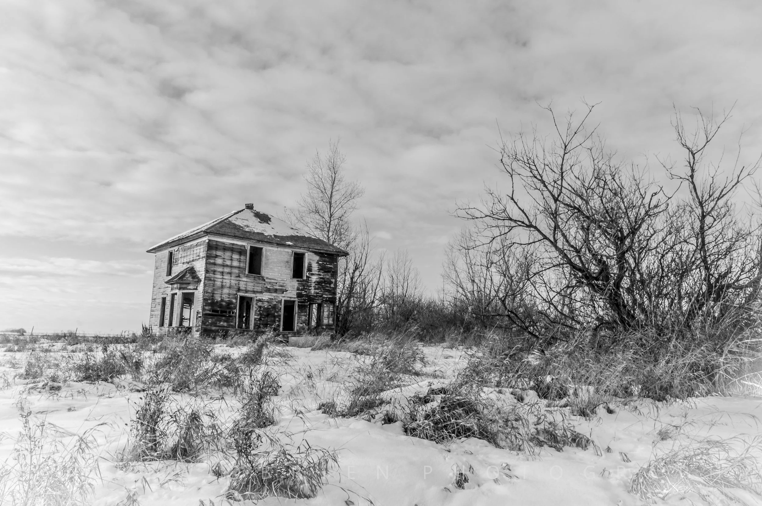DSC_0145.jpg