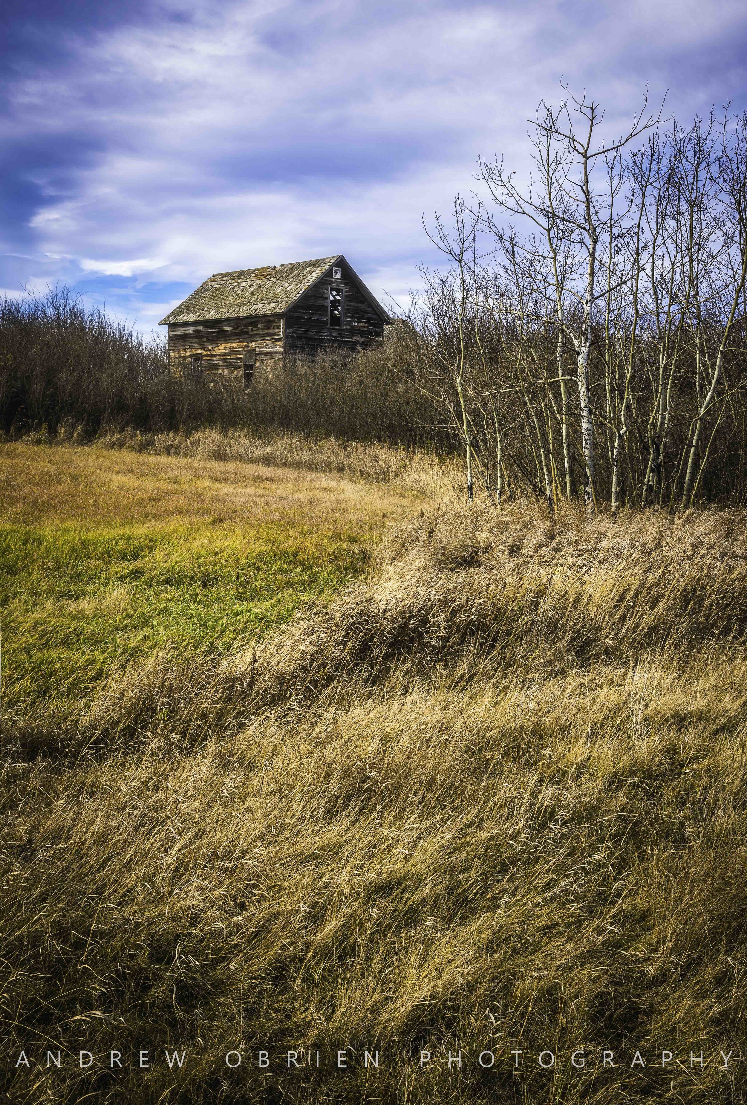 DSC_0670-Edit.jpg