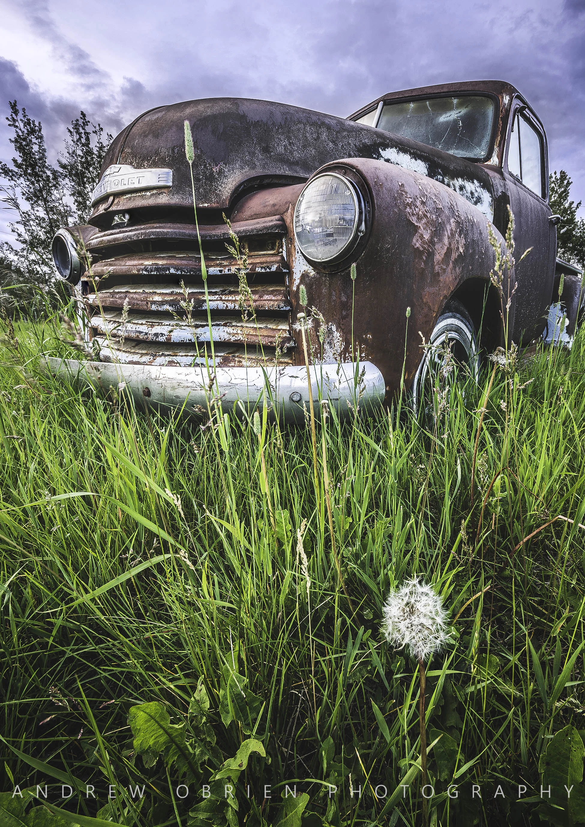 DSC_1393-Edit.jpg