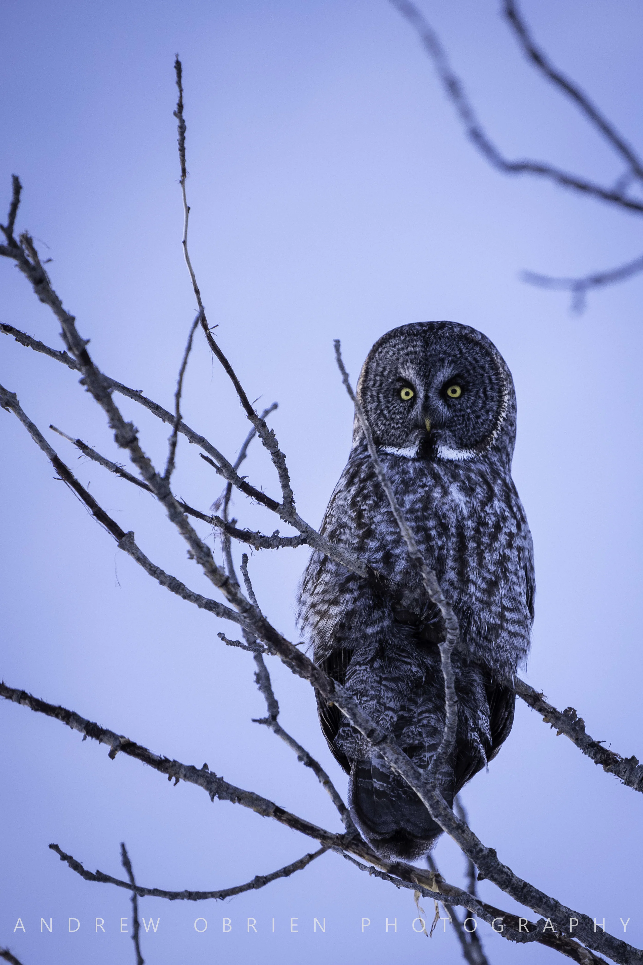 DSC_1416.jpg