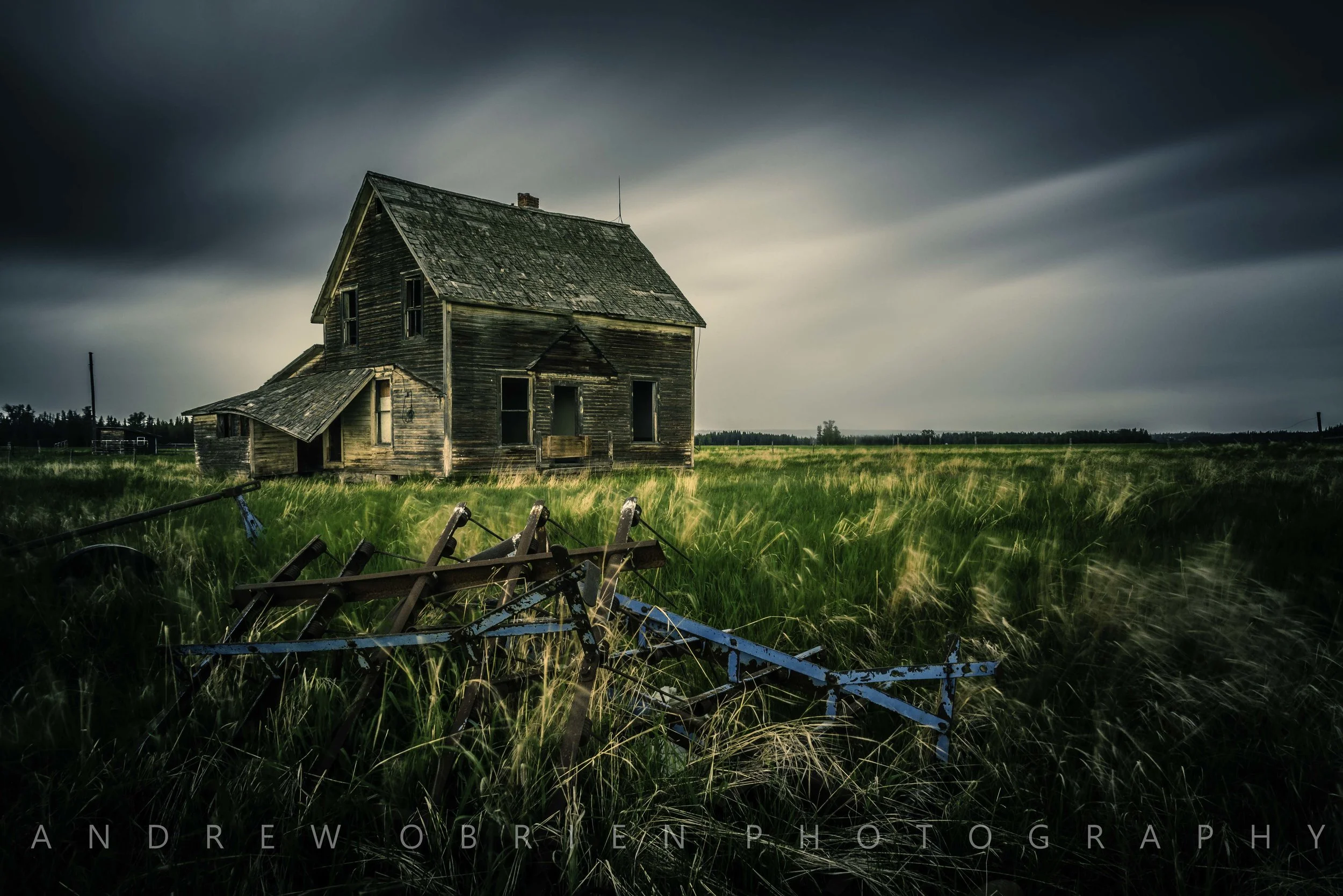 DSC_1448-Edit.jpg