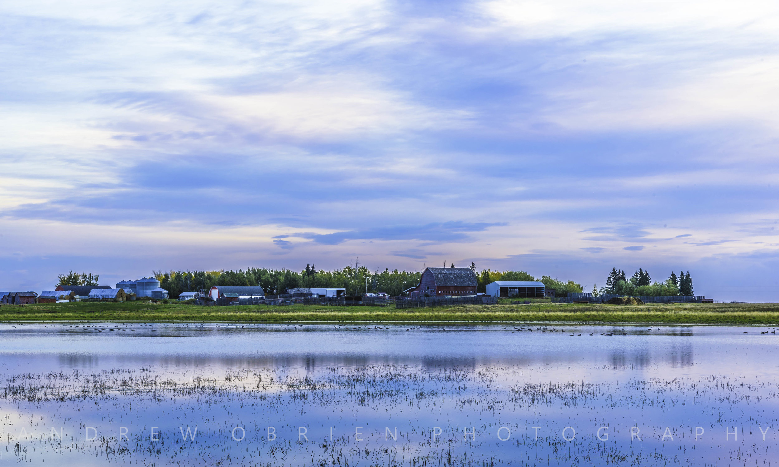 DSC_3003.jpg