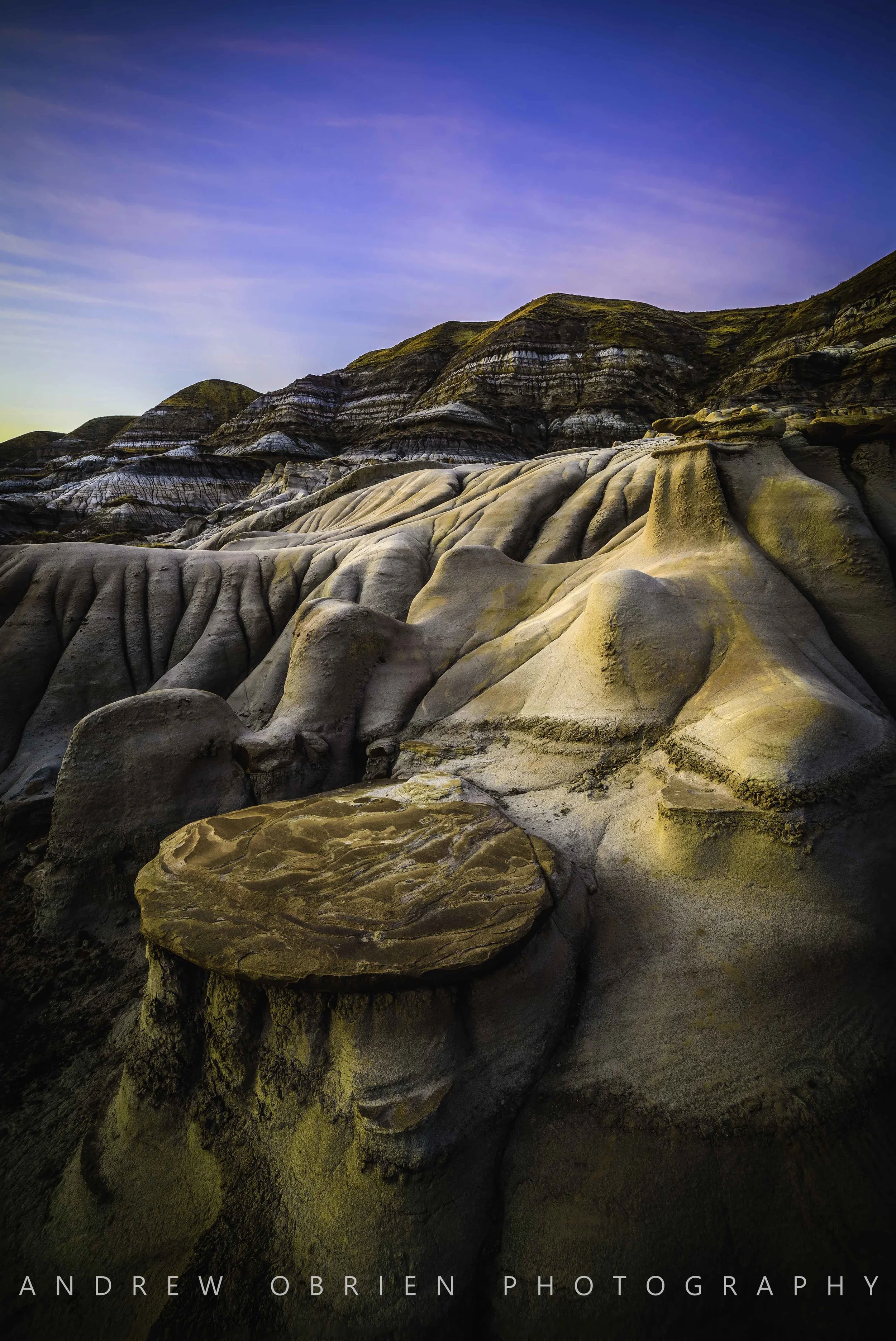 DSC_4194-HDR.tiffocusstack.jpg