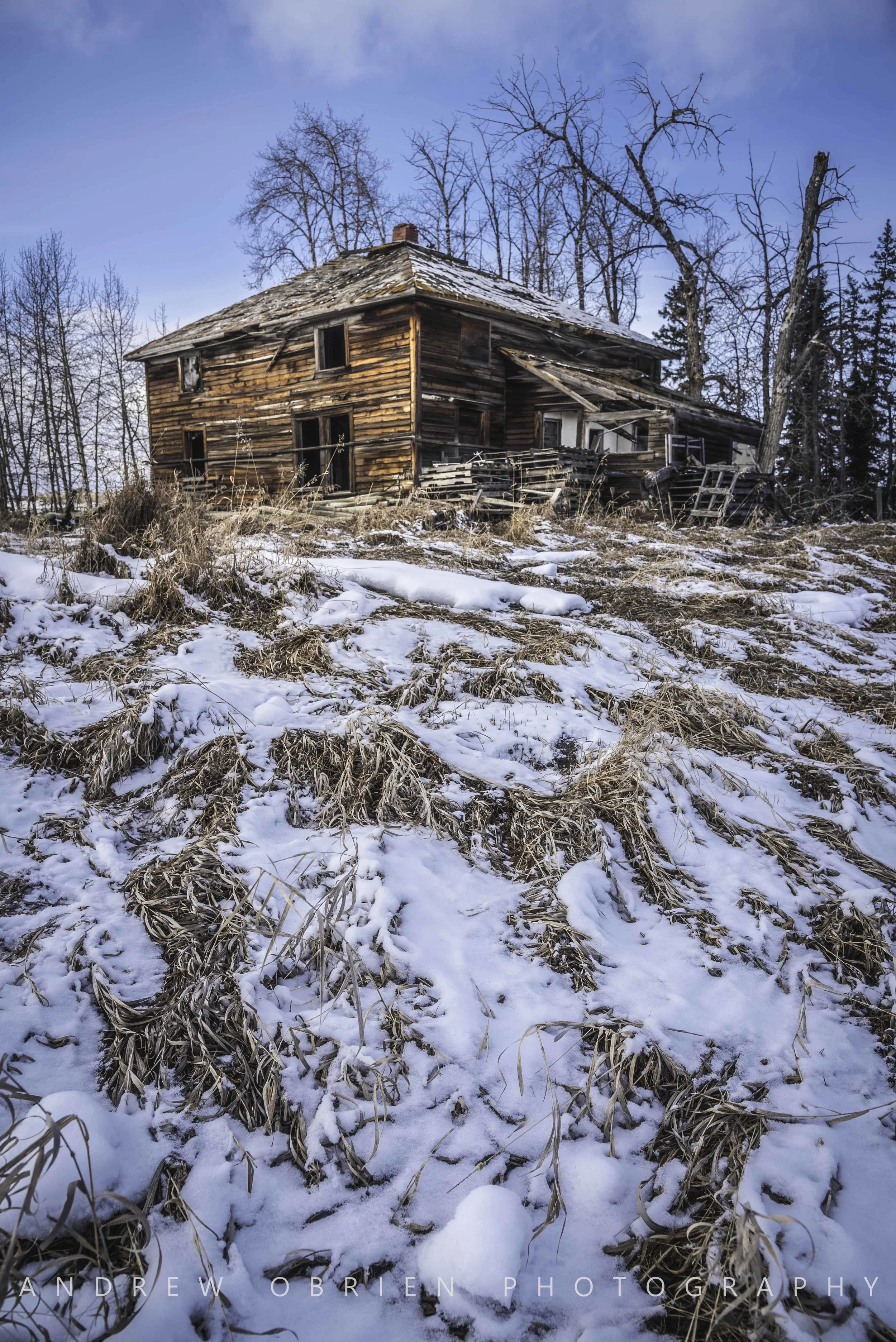 DSC_6266.jpg