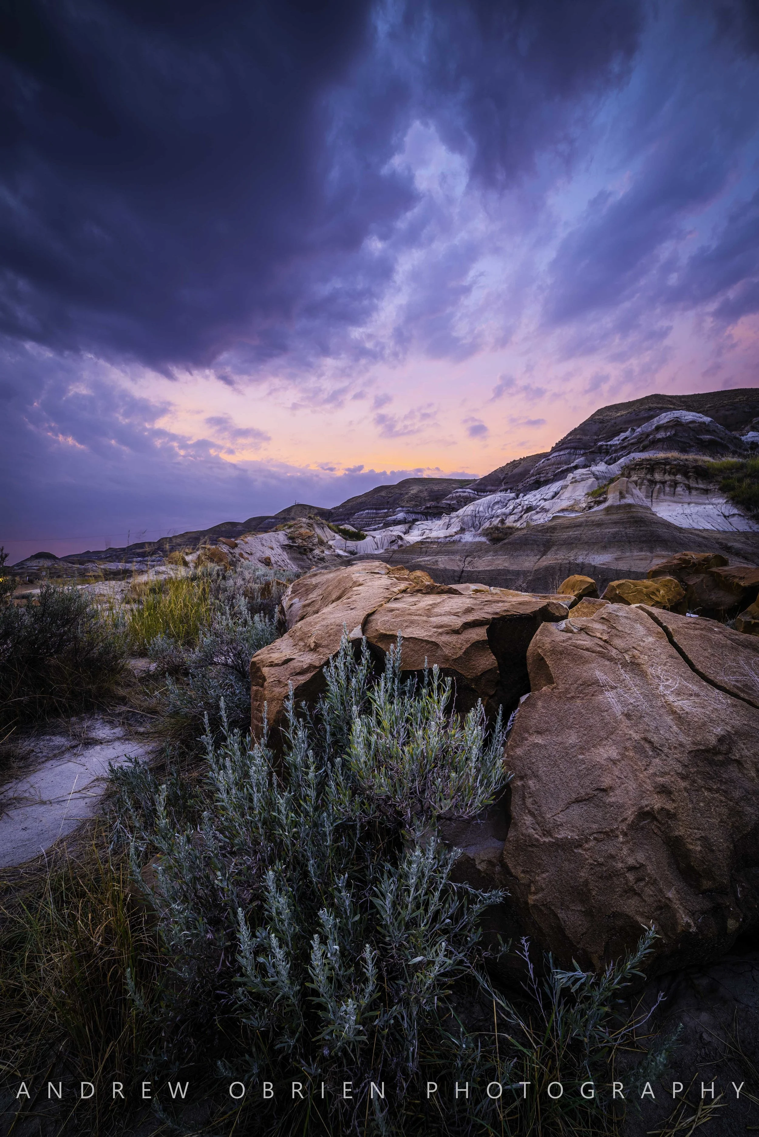 DSC_9425-Edit.jpg