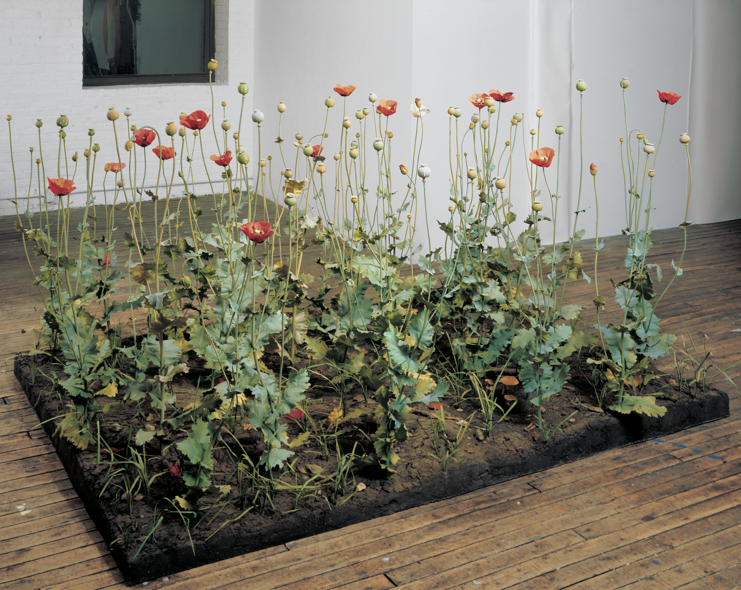  Crop, 1997-1998, PETG, thermoset, polymer, vinyl, lacquer, epoxy, oil paint, earth, and plexiglass, 58 x 96 x 72 inches 