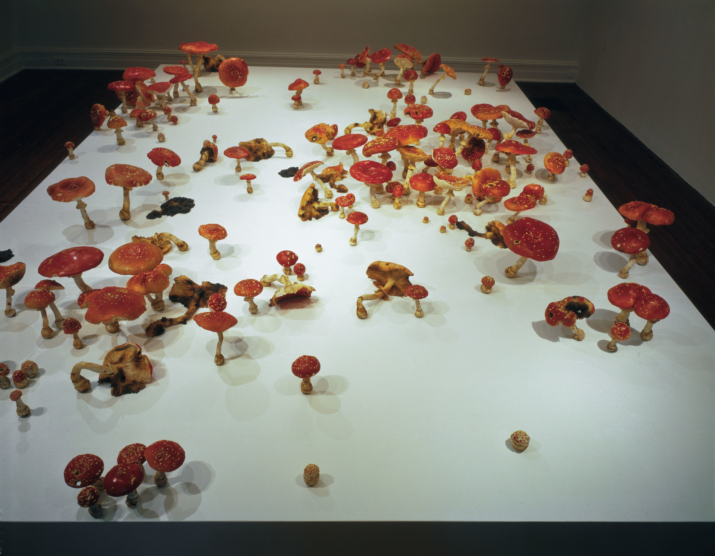  Amanita Muscaria Field, 2000, Thermoset polymer, epoxy, stainless steel, lacquer, and oil paint, 162 x 115 x 20 inches 