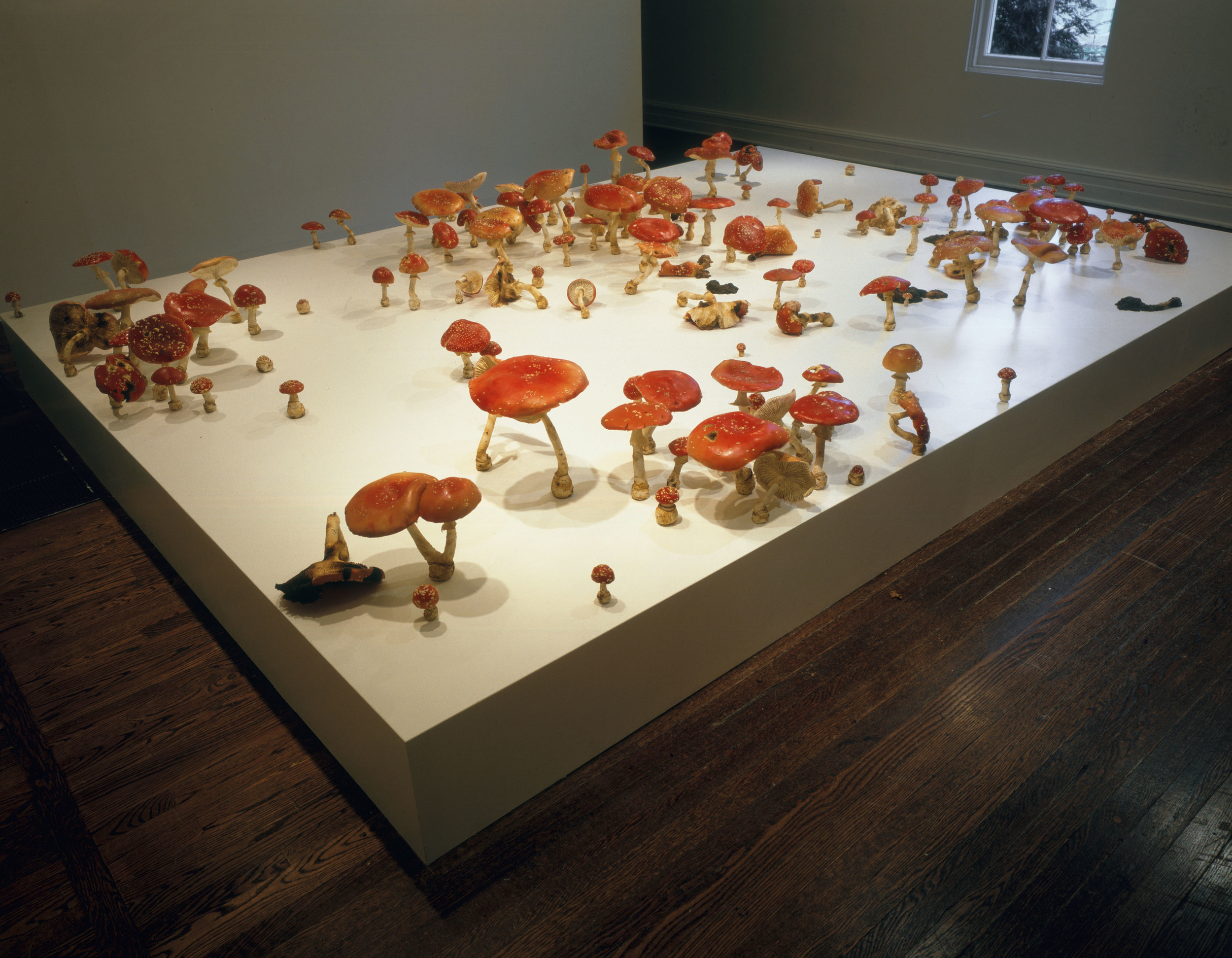  Amanita Muscaria Field, 2000, Thermoset polymer, epoxy, stainless steel, lacquer, and oil paint, 162 x 115 x 20 inches 