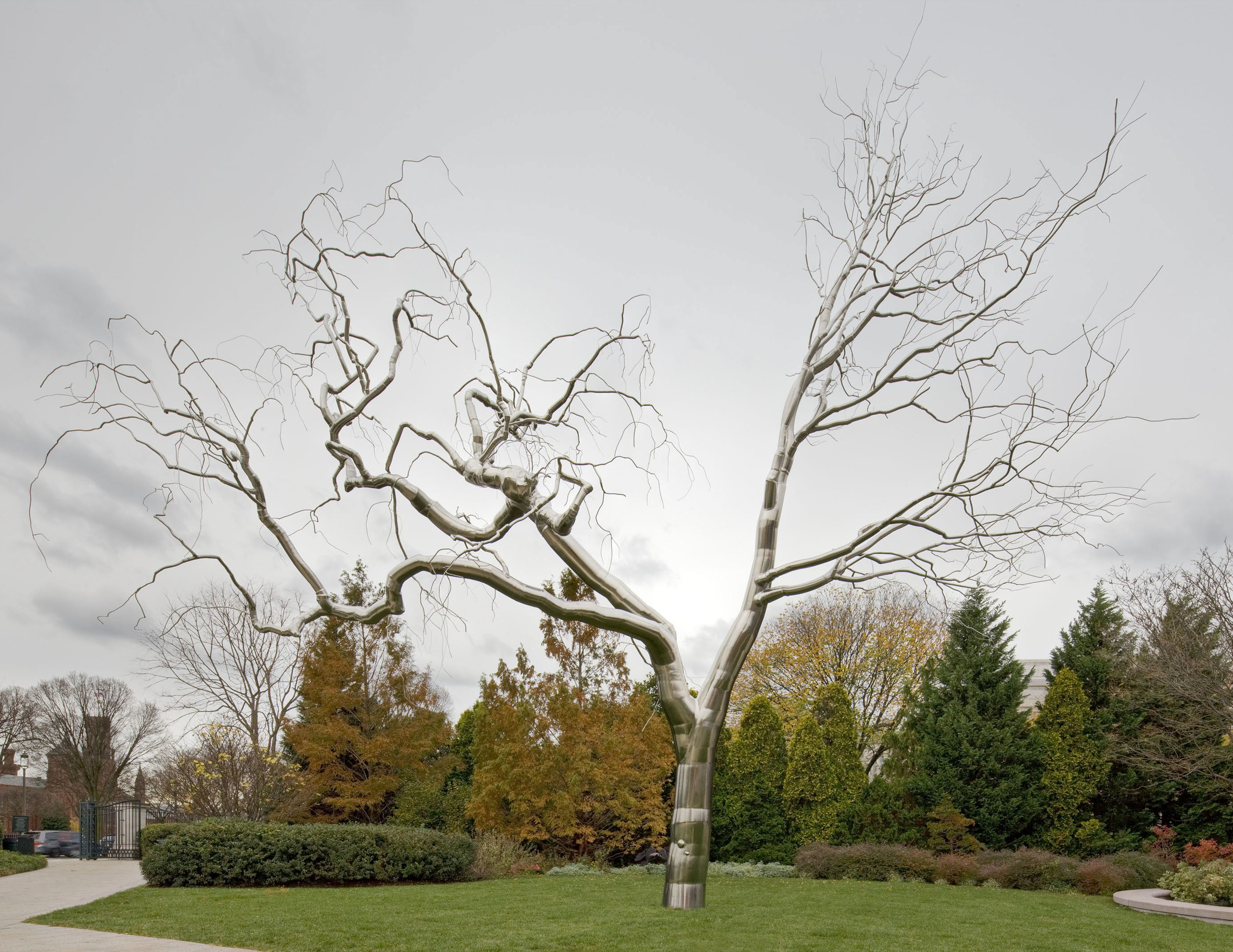  Graft, 2009, Stainless steel, 45 x 39 x 31 feet   Graft  &nbsp;is the first contemporary addition to the National Gallery of Art sculpture garden in 10 years. &nbsp;It joins works by Alexander Calder, Roy Lichtenstein, Louise Bourgeois, and Sol Lewi