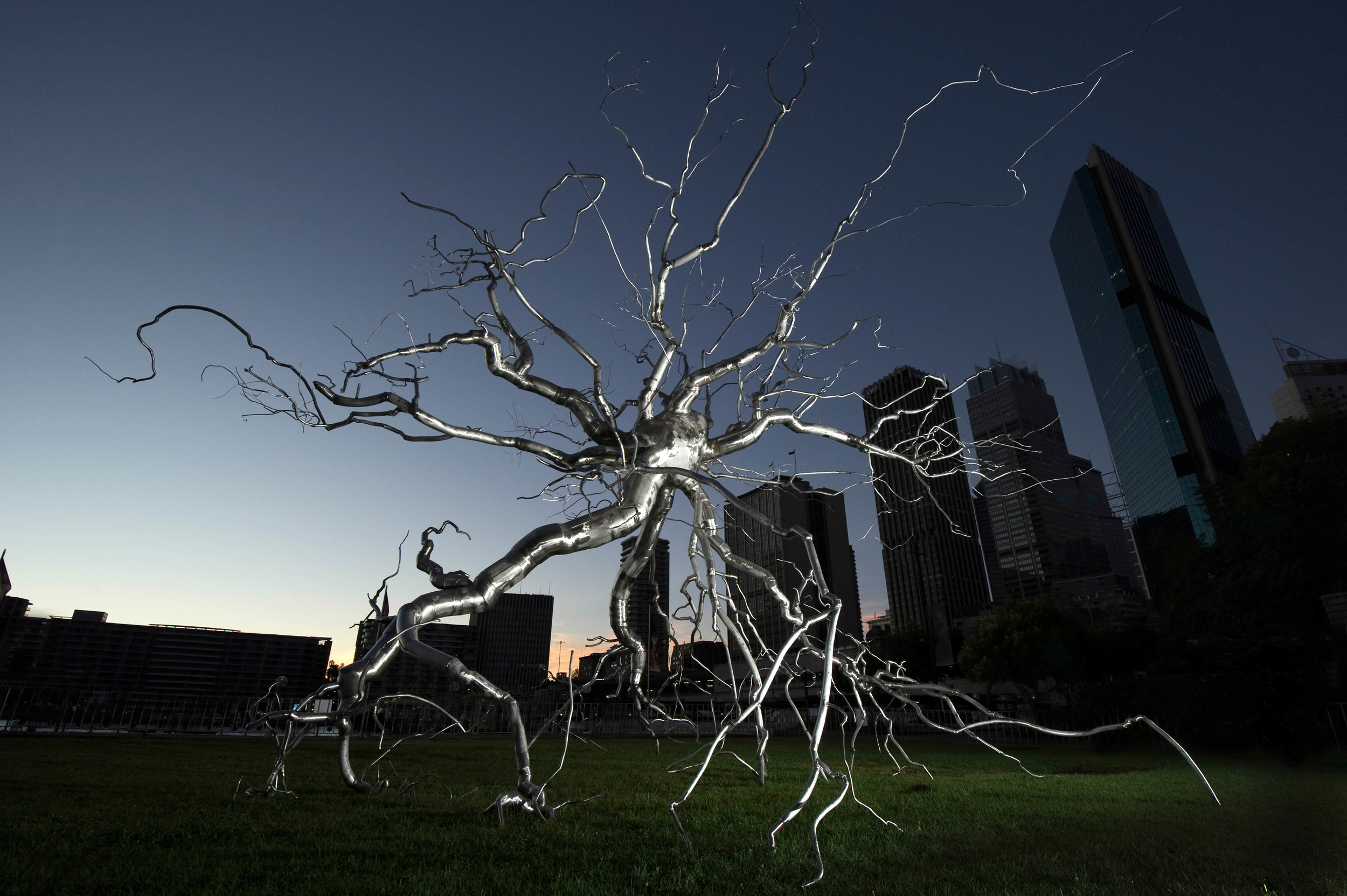  Neuron, 2010, Stainless steel, 41 x 48 x 52 feet   Neuron  &nbsp;represents the exploration of the dendritic structures of the human body, specifically, the brain and mental processes. &nbsp;Both a sculptural and conceptual challenge,&nbsp;  Neuron 