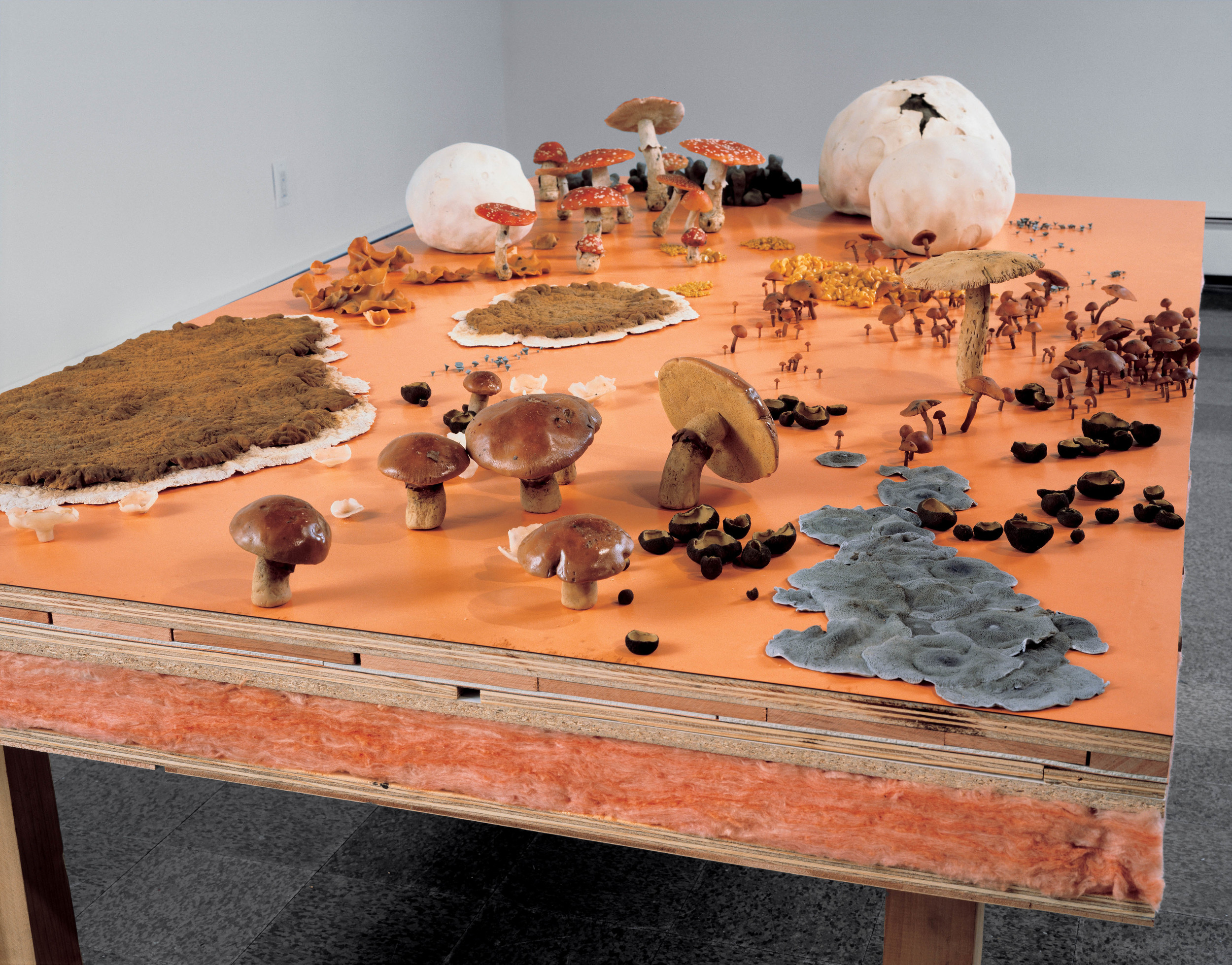  Fungus Formica Field, 1998, Wood, fiberglass insulation, polymer, oil, lacquer, linoleum, and formica, 48 x 83 x 15 inches 