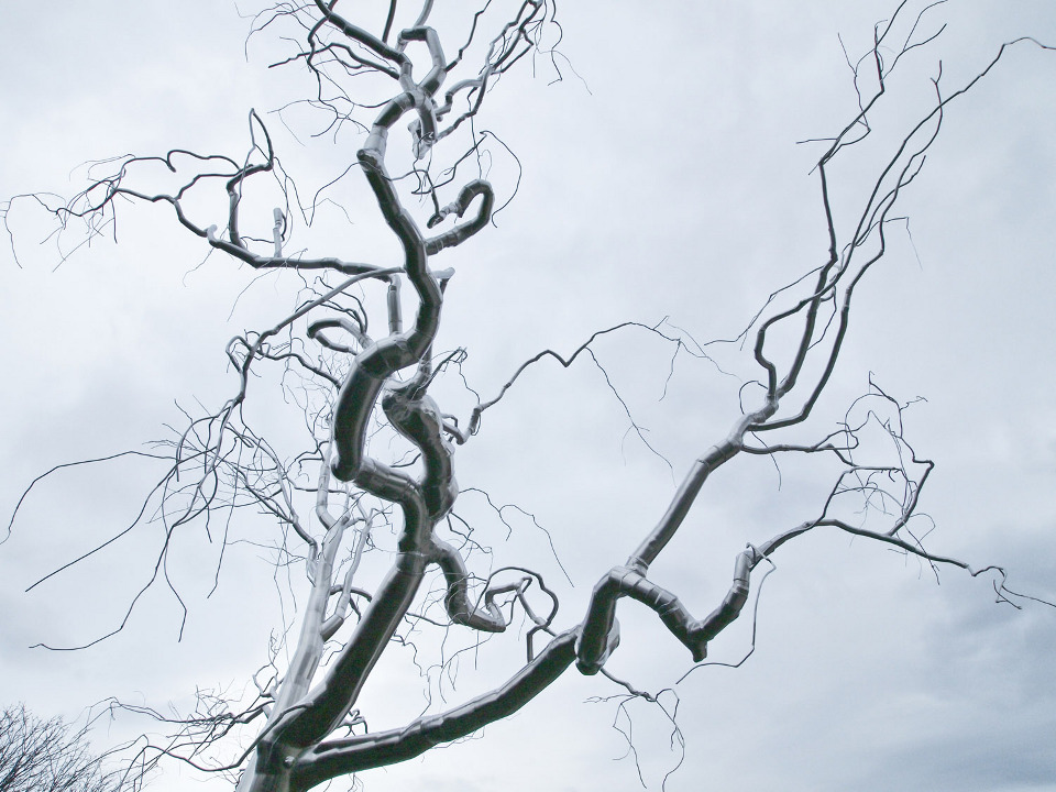  Graft, 2009, Stainless steel, 45 x 39 x 31 feet   Graft  &nbsp;is the first contemporary addition to the National Gallery of Art sculpture garden in 10 years. &nbsp;It joins works by Alexander Calder, Roy Lichtenstein, Louise Bourgeois, and Sol Lewi