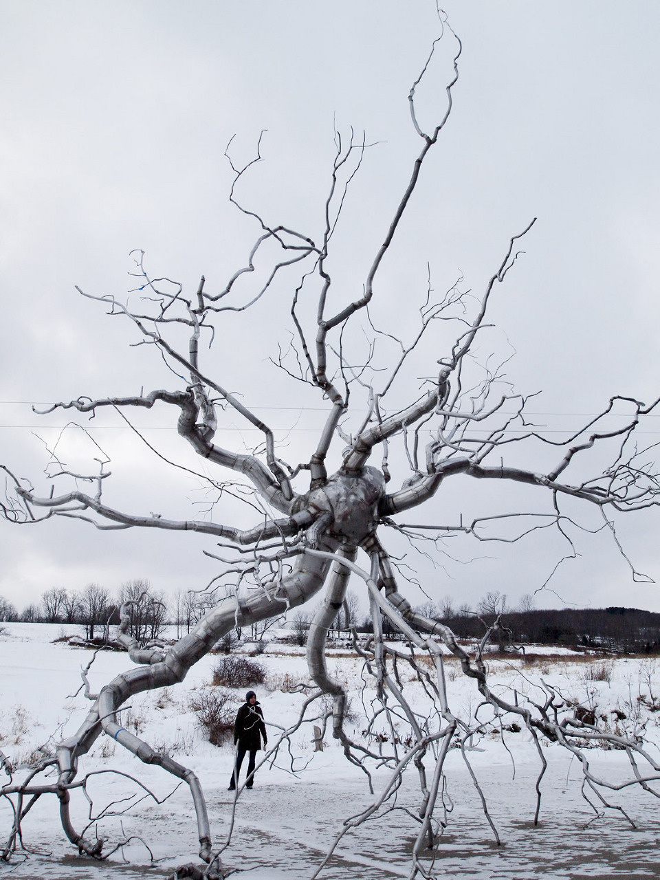  Neuron, 2010, Stainless steel, 41 x 48 x 52 feet   Neuron  &nbsp;represents the exploration of the dendritic structures of the human body, specifically, the brain and mental processes. &nbsp;Both a sculptural and conceptual challenge,&nbsp;  Neuron 