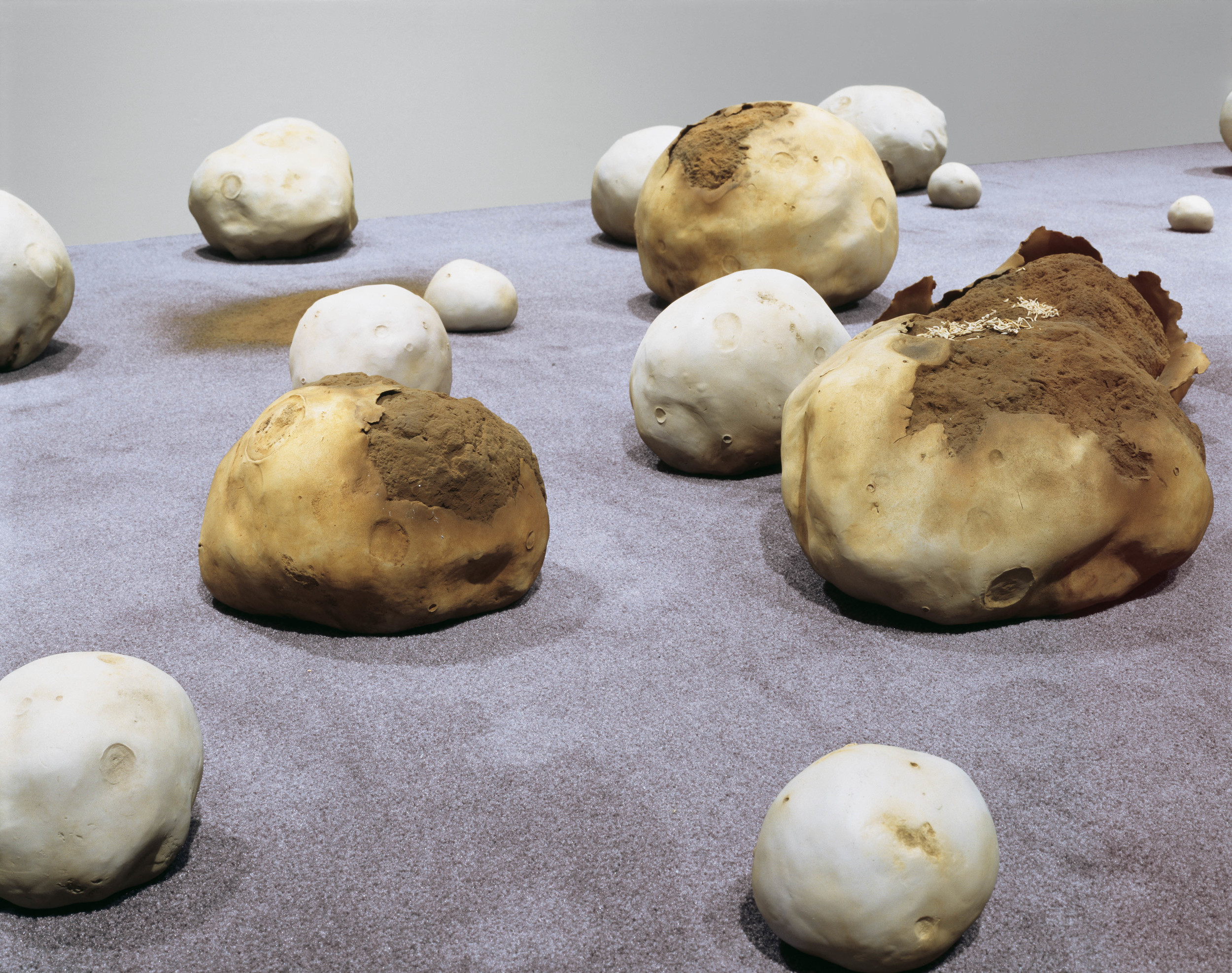  Puffball Field, 1998, Aluminum, carpet, pigment, polymer, oil and lacquer, and wood, 40 x 120 x 84 inches 