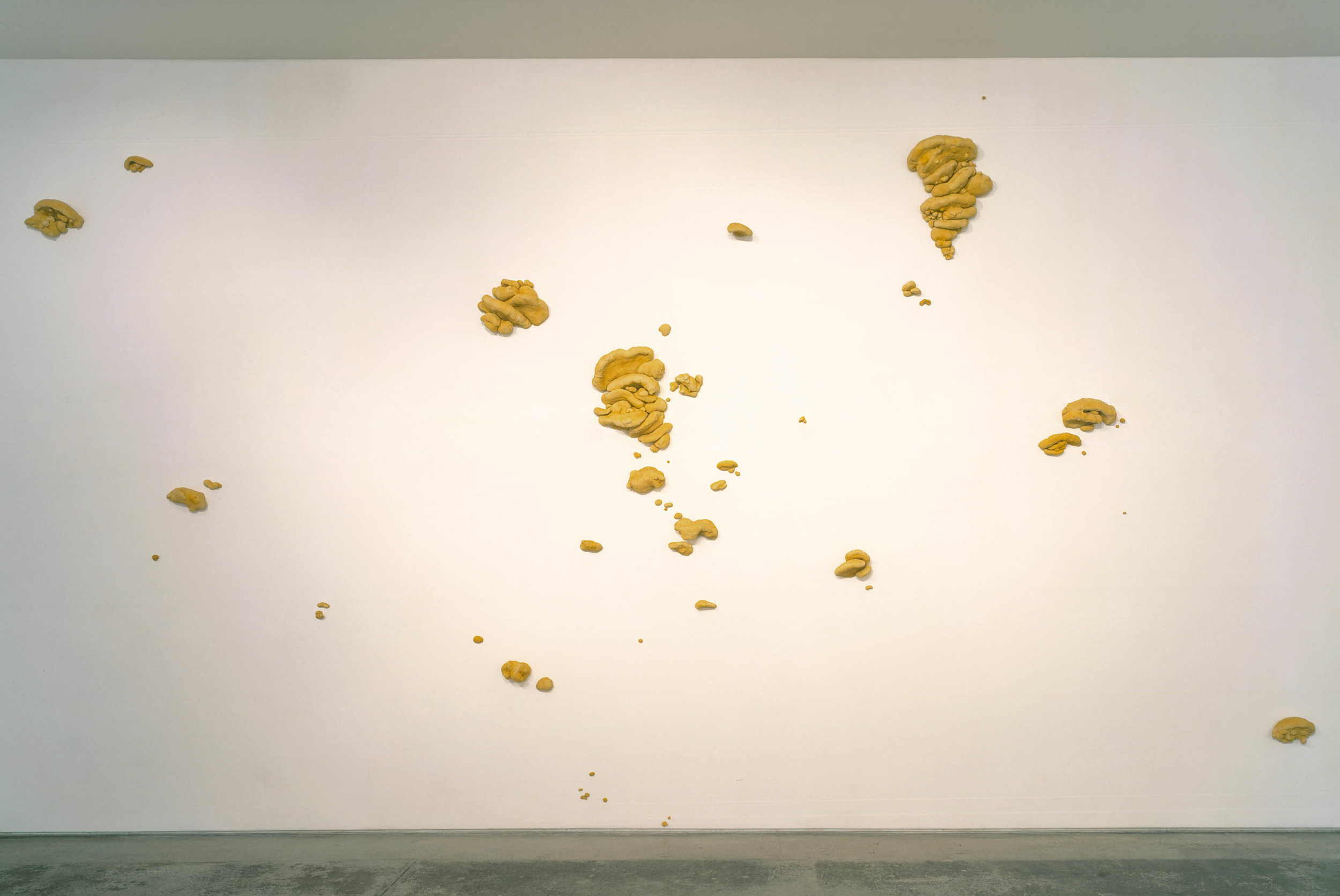  Sulfur Shelf Wall, 2001, Thermoset polymer, epoxy, stainless steel, lacquer, and oil, 155 x 292 x 7 inches 