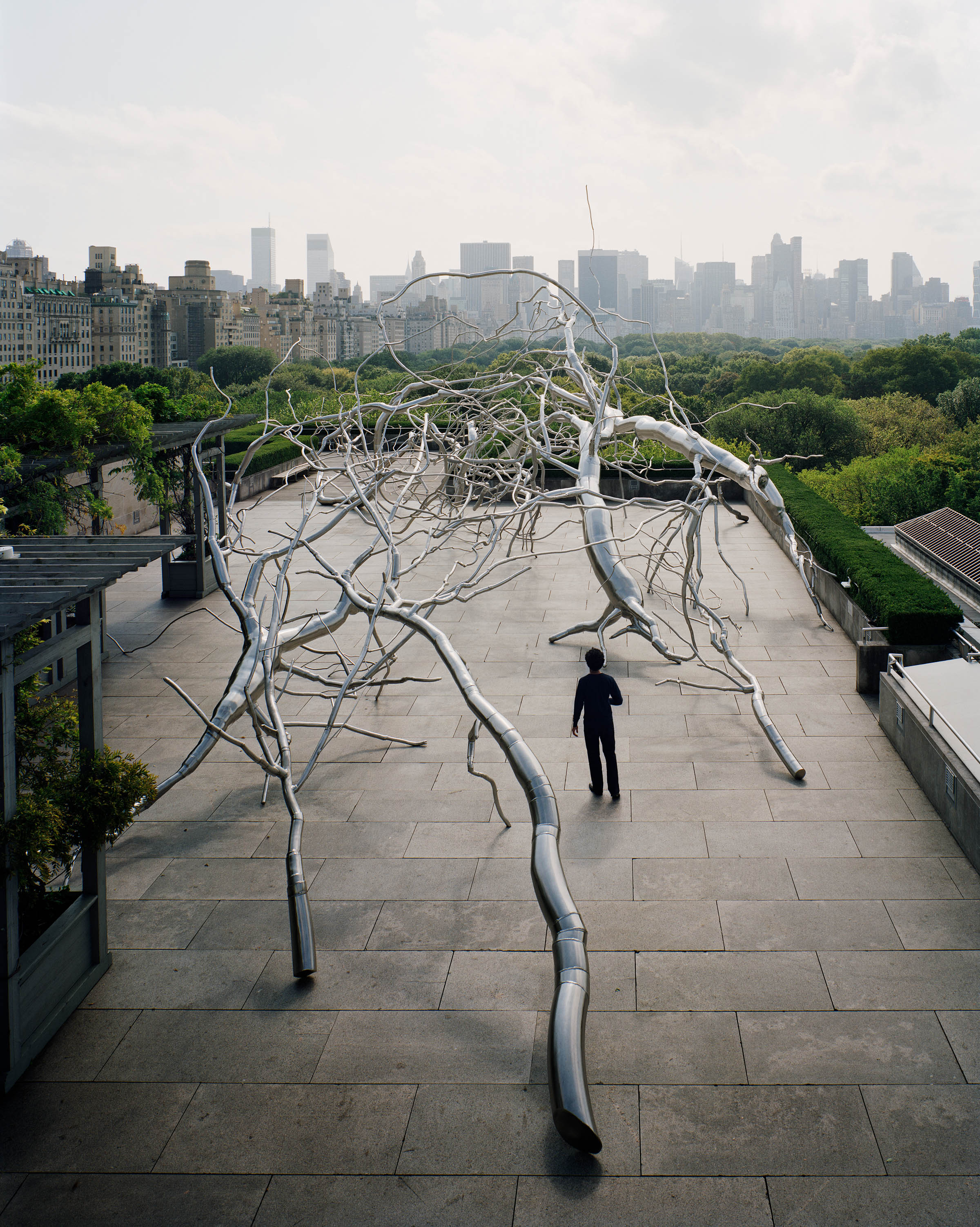  Maelstrom, 2009, Stainless steel, 22 x 140 x 50 feet,  Commissioned for the Metropolitan Museum of Art, Iris B. and Gerald Cantor Roof Garden, New York for the exhibition Roxy Paine on the Roof: Maelstrom&nbsp;April 28 through October 25, 2009&nbsp;