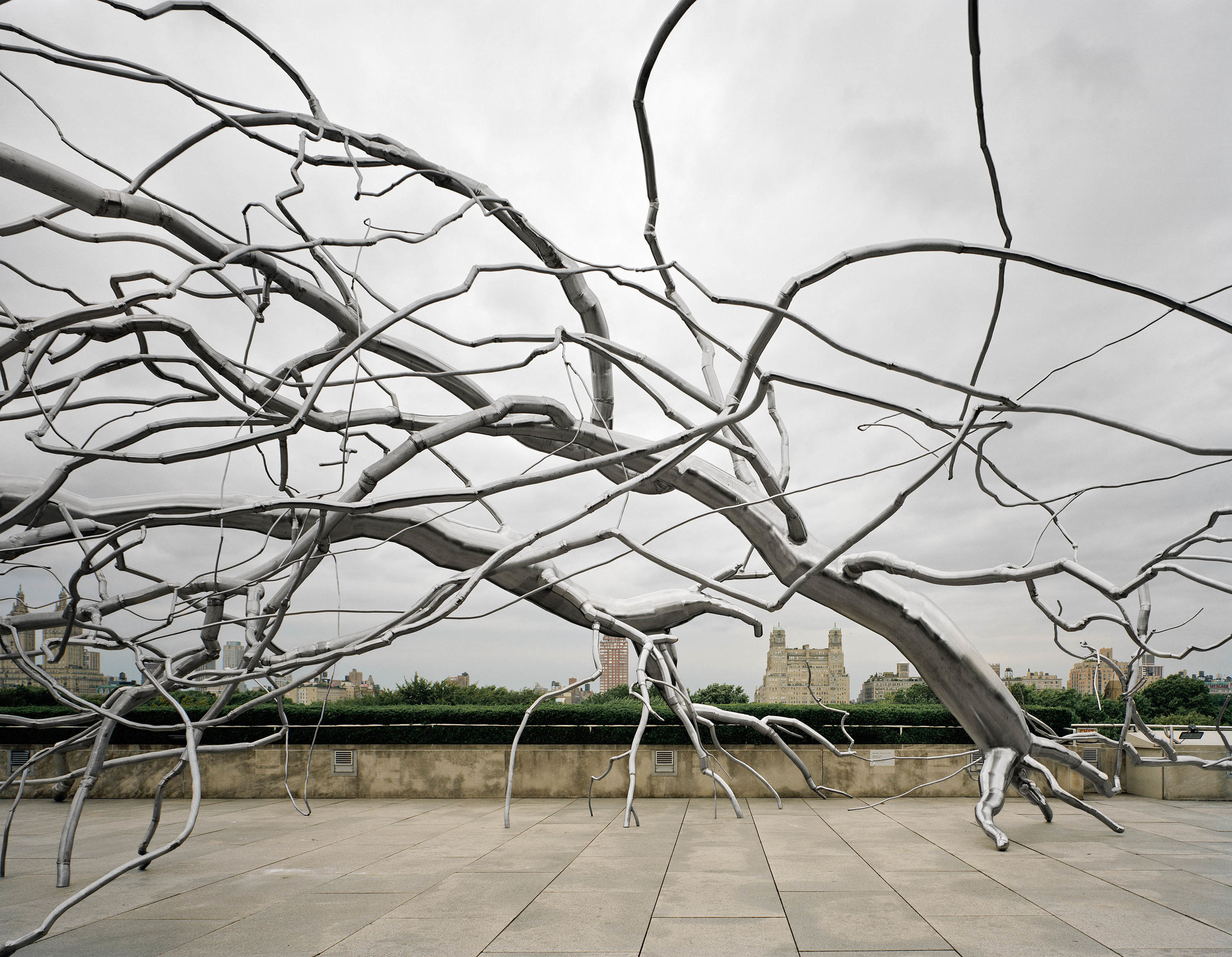  Maelstrom, 2009, Stainless steel, 22 x 140 x 50 feet,  Commissioned for the Metropolitan Museum of Art, Iris B. and Gerald Cantor Roof Garden, New York for the exhibition Roxy Paine on the Roof: Maelstrom&nbsp;April 28 through October 25, 2009&nbsp;