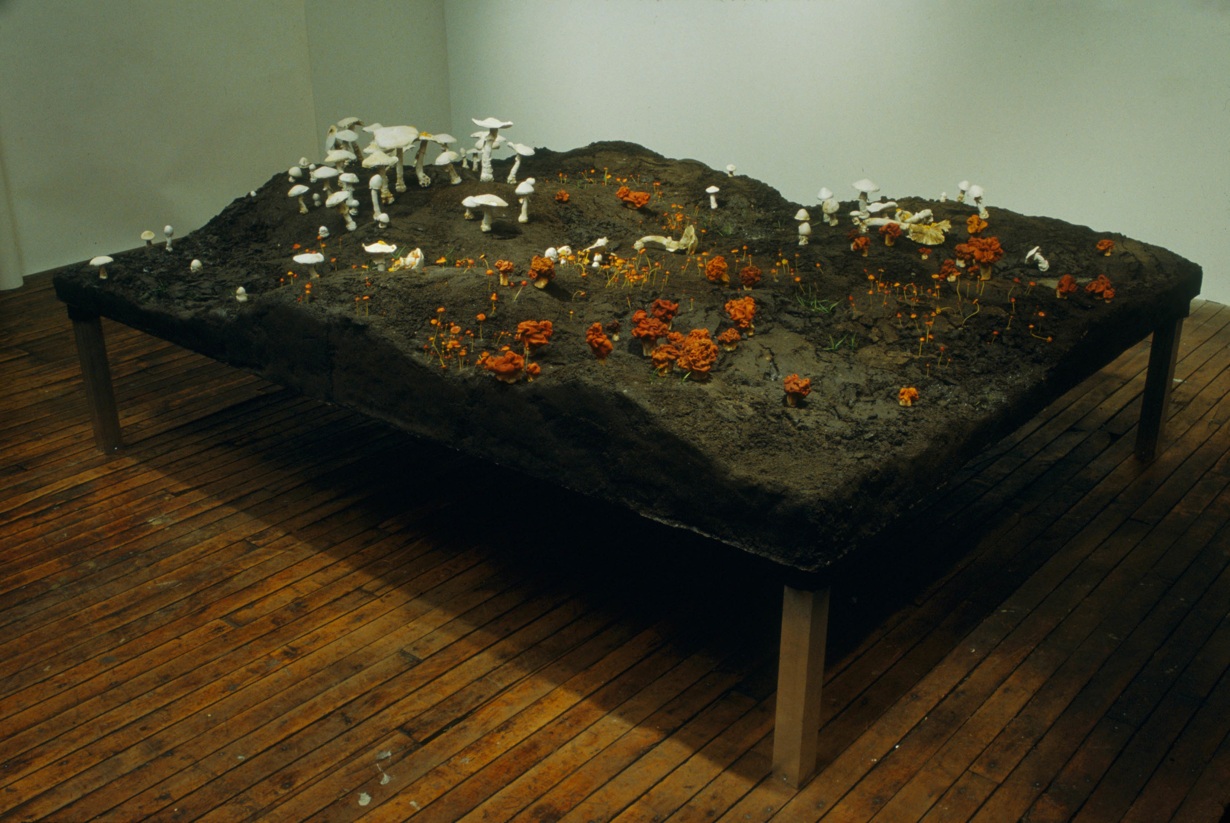  New Fungus Crop, 1999, Epoxy, thermoset polymer, aluminum, wood FETG, lacquer, oil paint, and earth, 35 x 84 x 108 inches 