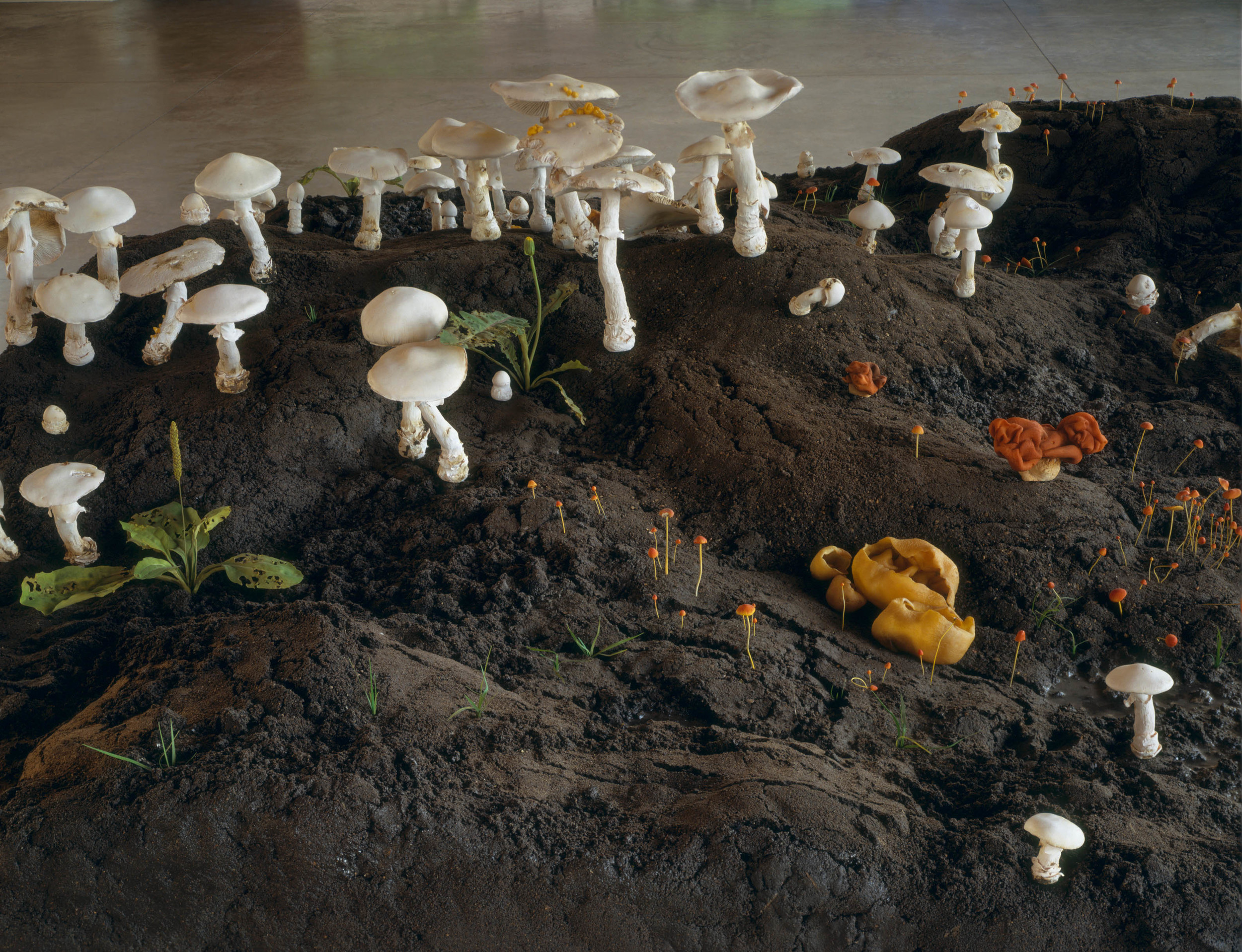  New Fungus Crop, 1999, Epoxy, thermoset polymer, aluminum, wood FETG, lacquer, oil paint, and earth, 35 x 84 x 108 inches 