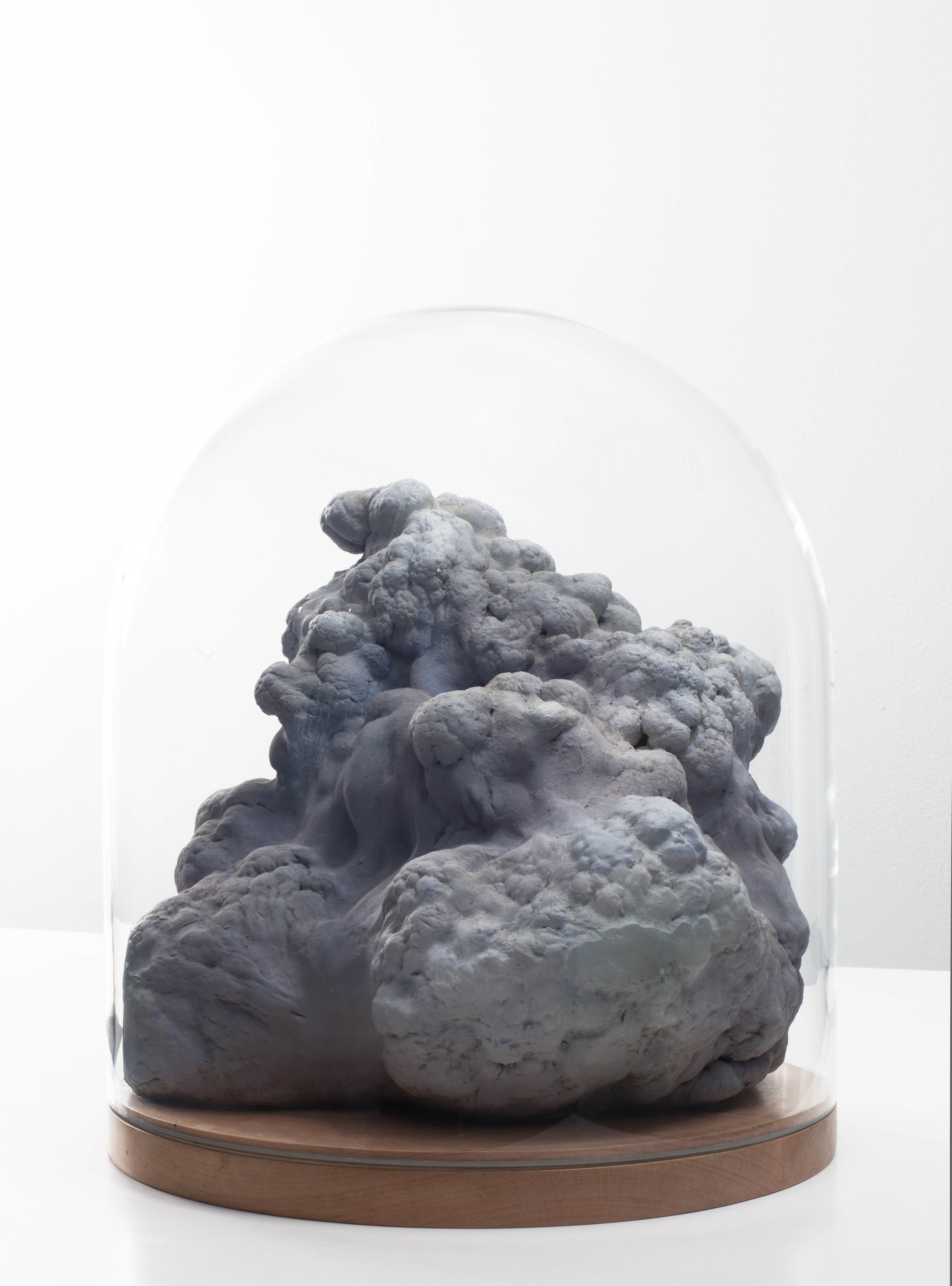 Cloud Specimen - 1.jpg