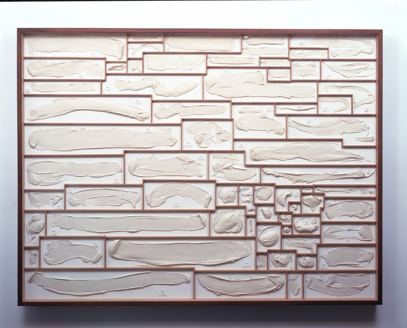  Pigeon Holes, 1997, polymer, mahogany, alkyd paint, insect pins, and plexiglas, 72 x 96 x 6 inches 