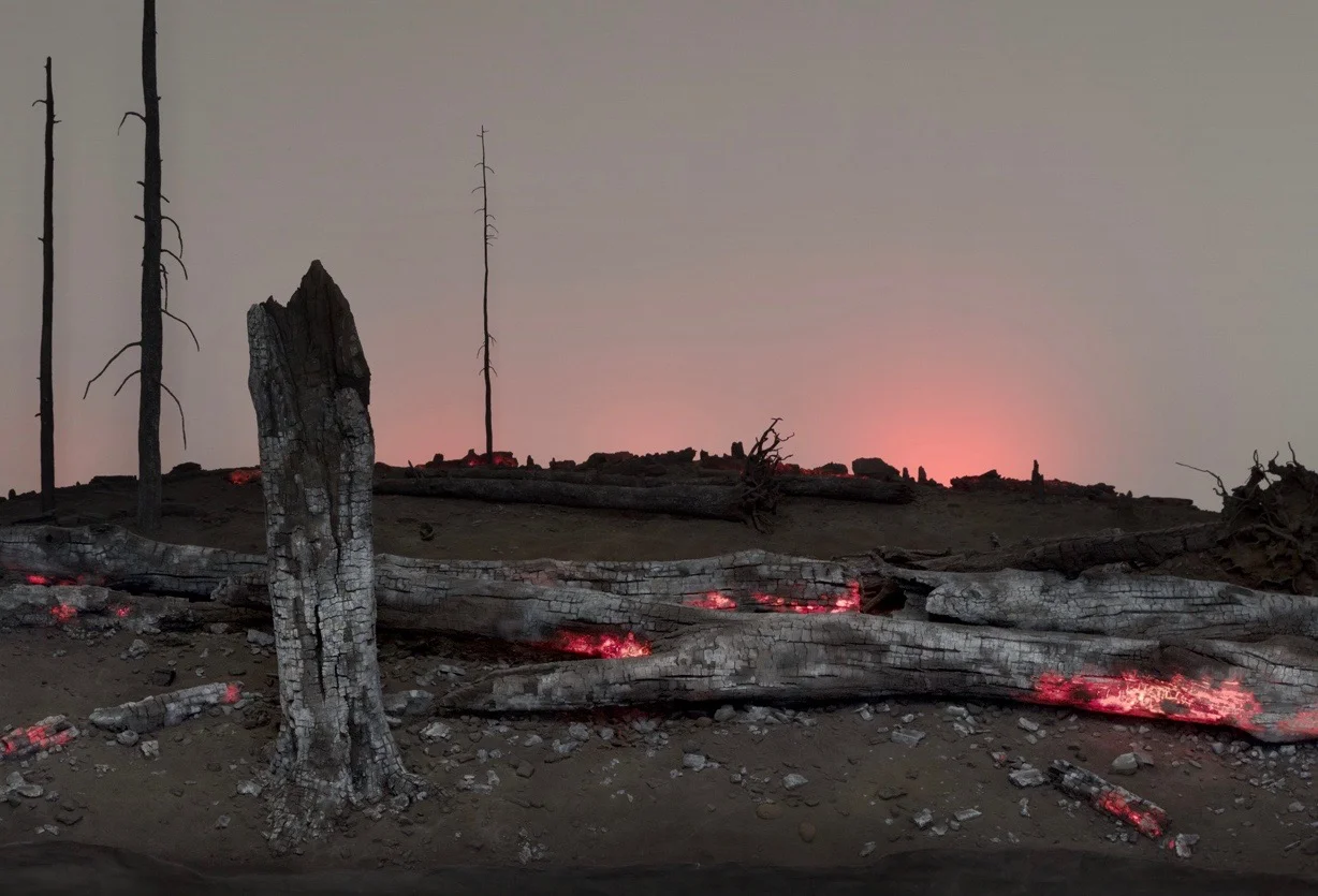 WALLPAPER Roxy Paine explores nature, folklore, geometry in his latest exhibition May 5, 2017, by Olivia Martin