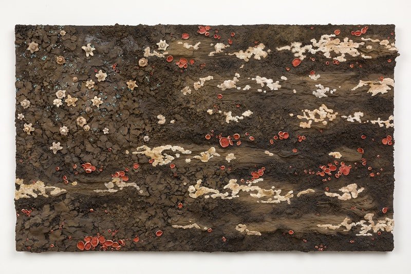  Roxy Paine,  Fungal Flag no. 2,  2021. Earth pigment, wood, epoxy, urethane, stainless steel, lacquer, oil paint, 54 1/2 x 90 1/2 x 5 1/2 inches. Courtesy the artist and Kasmin, New York. 