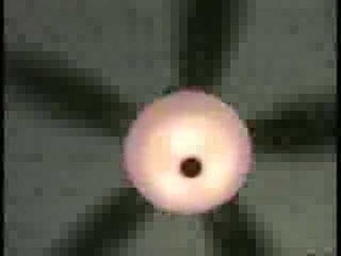Ceiling Fan