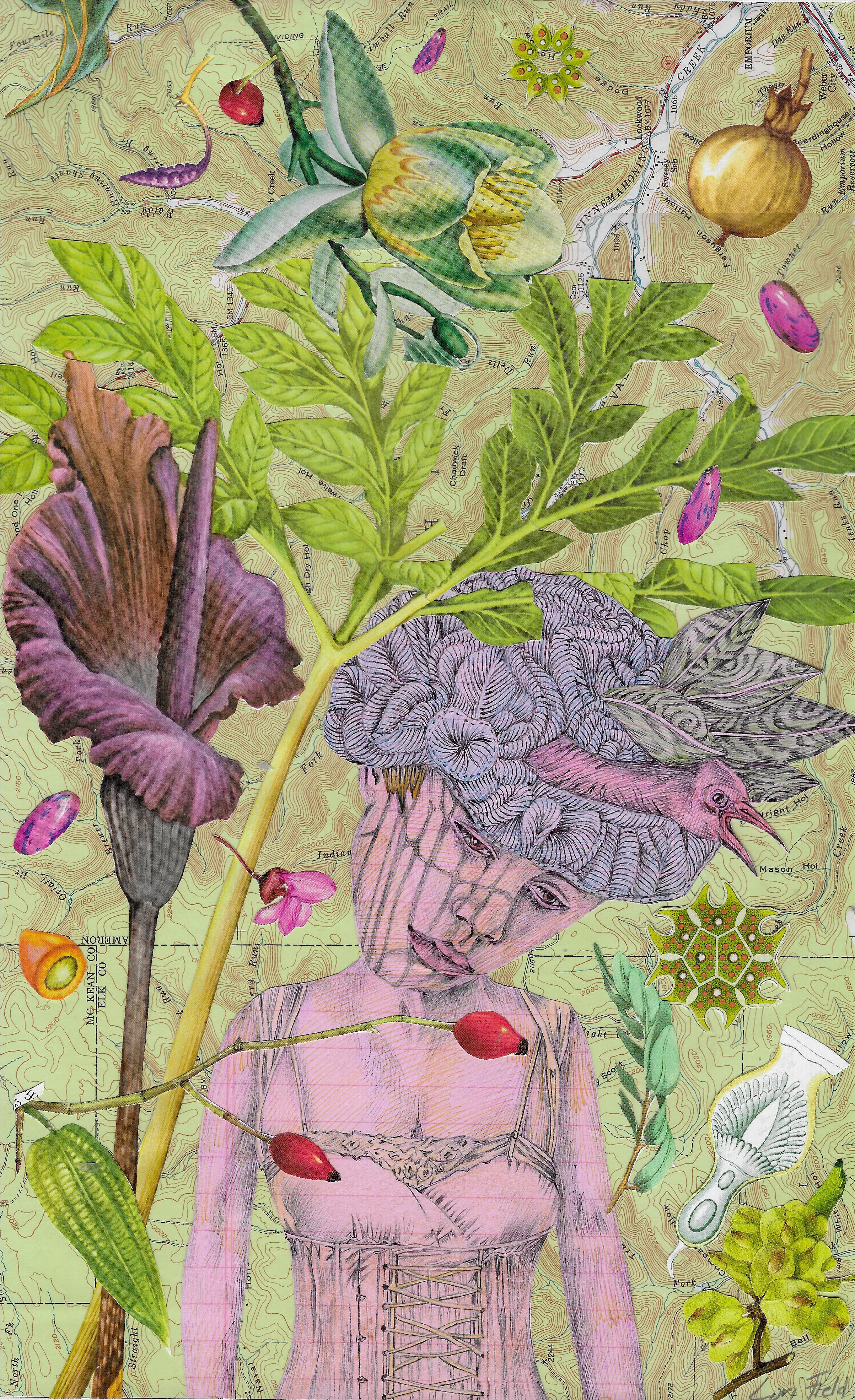 Bete Noire in Green Land