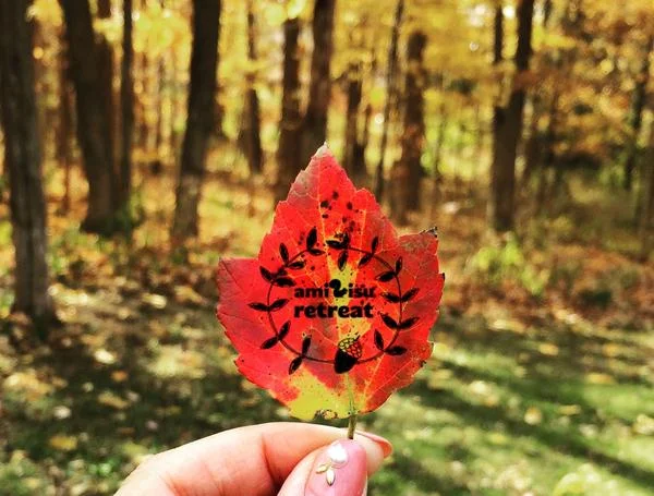 Amirisu Retreat 2017, Japan