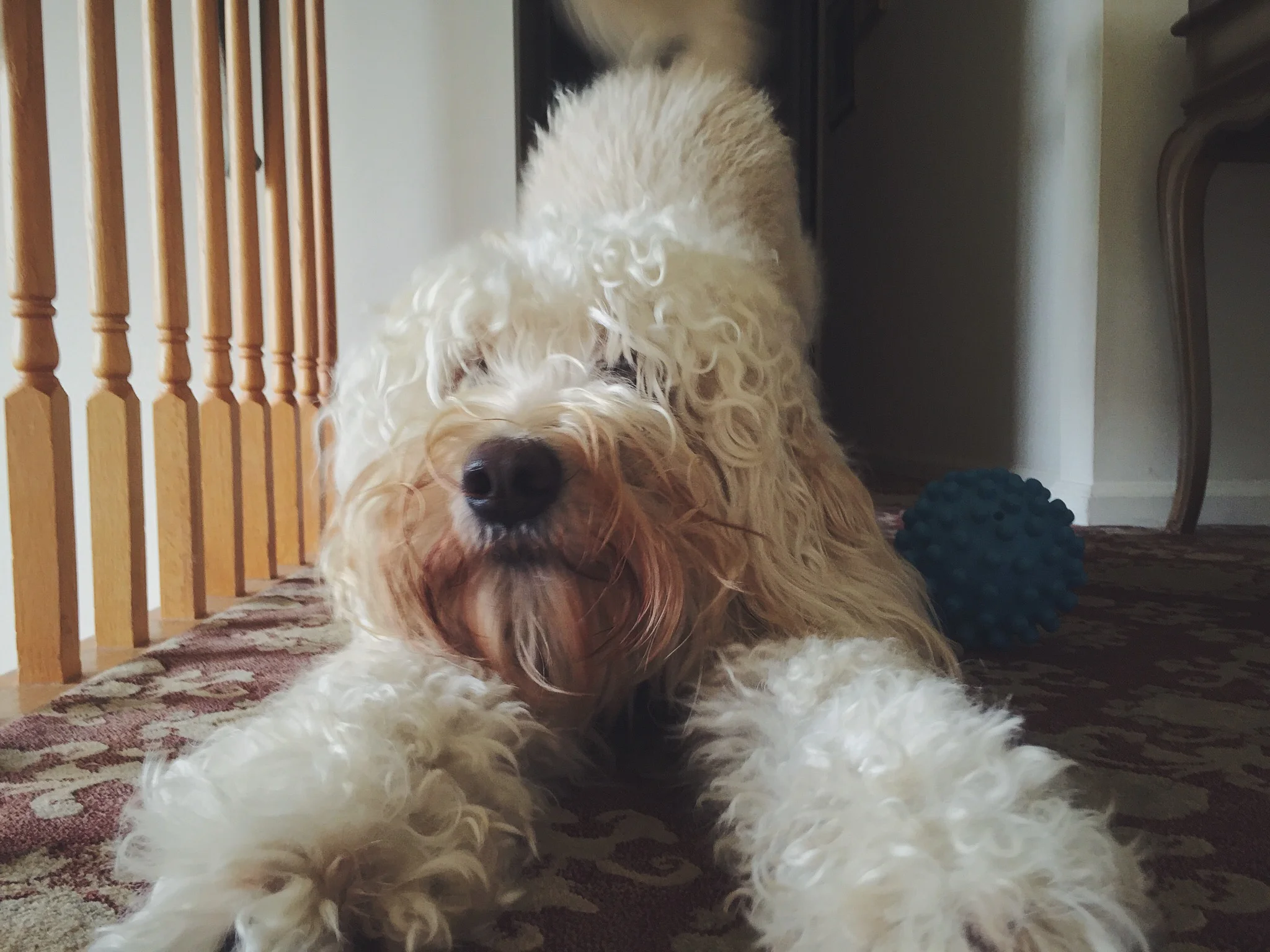 vsco_111414-1.jpg