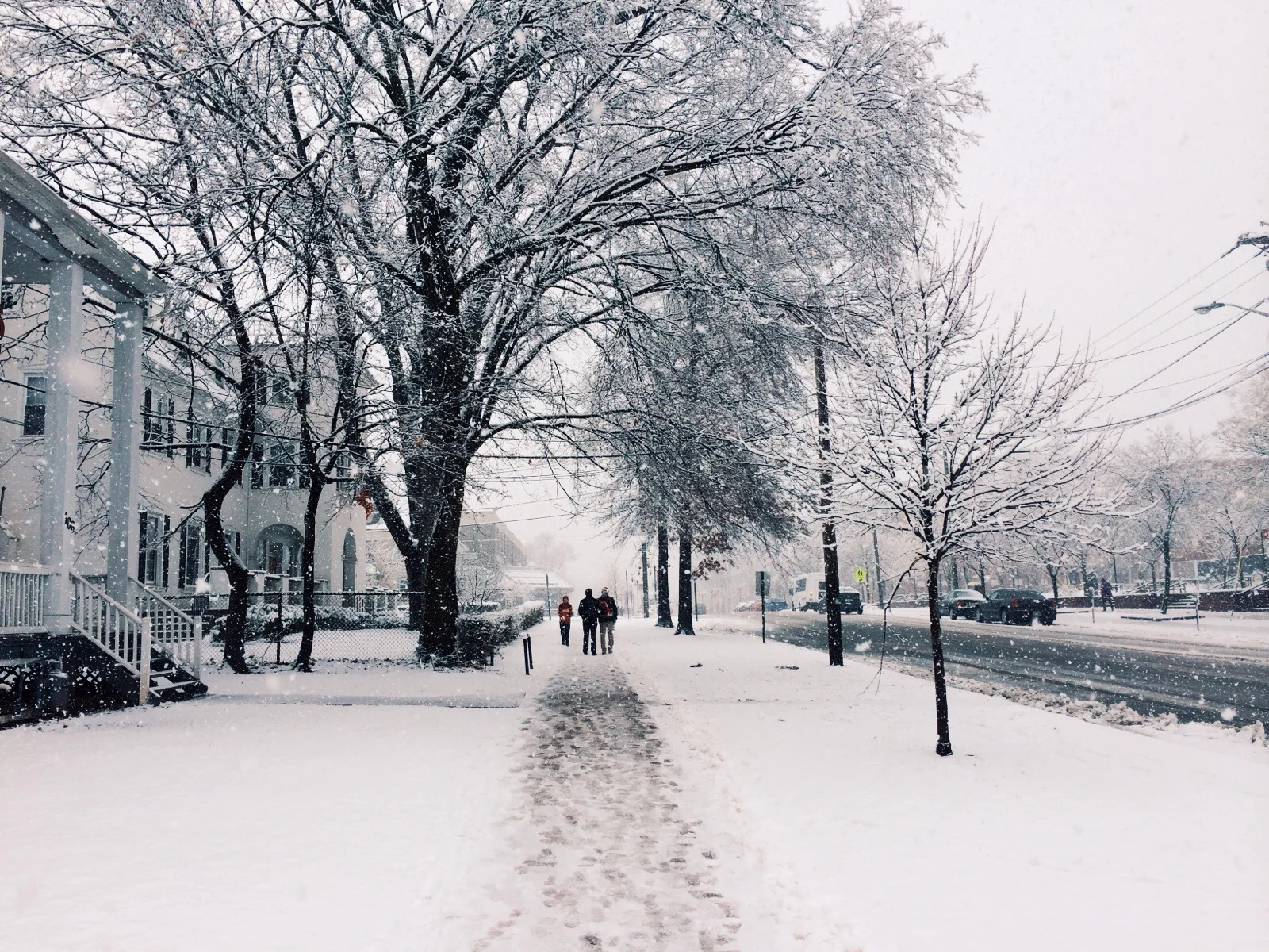 vsco_123114_6.jpg