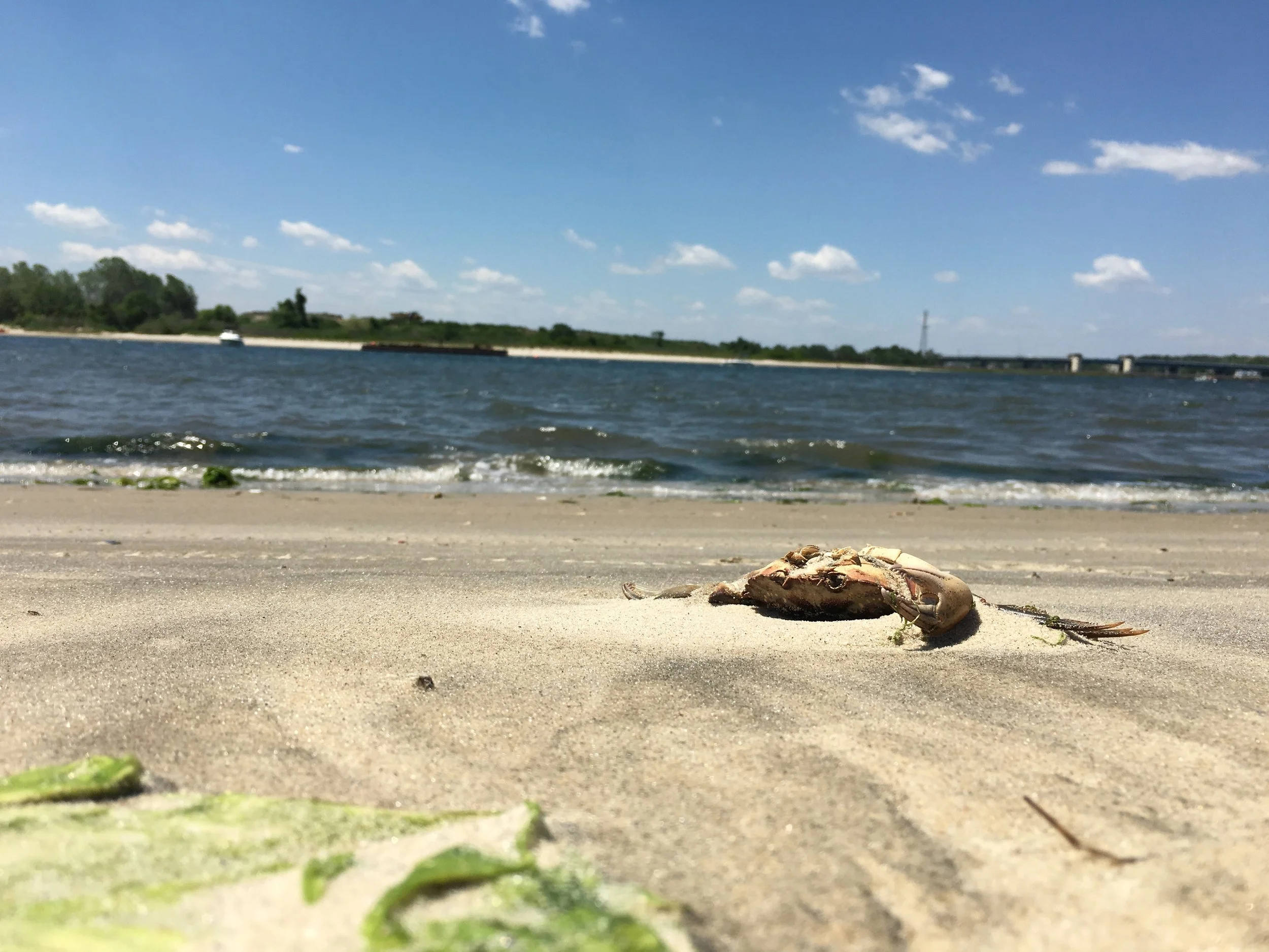 IMG_3542.jpg