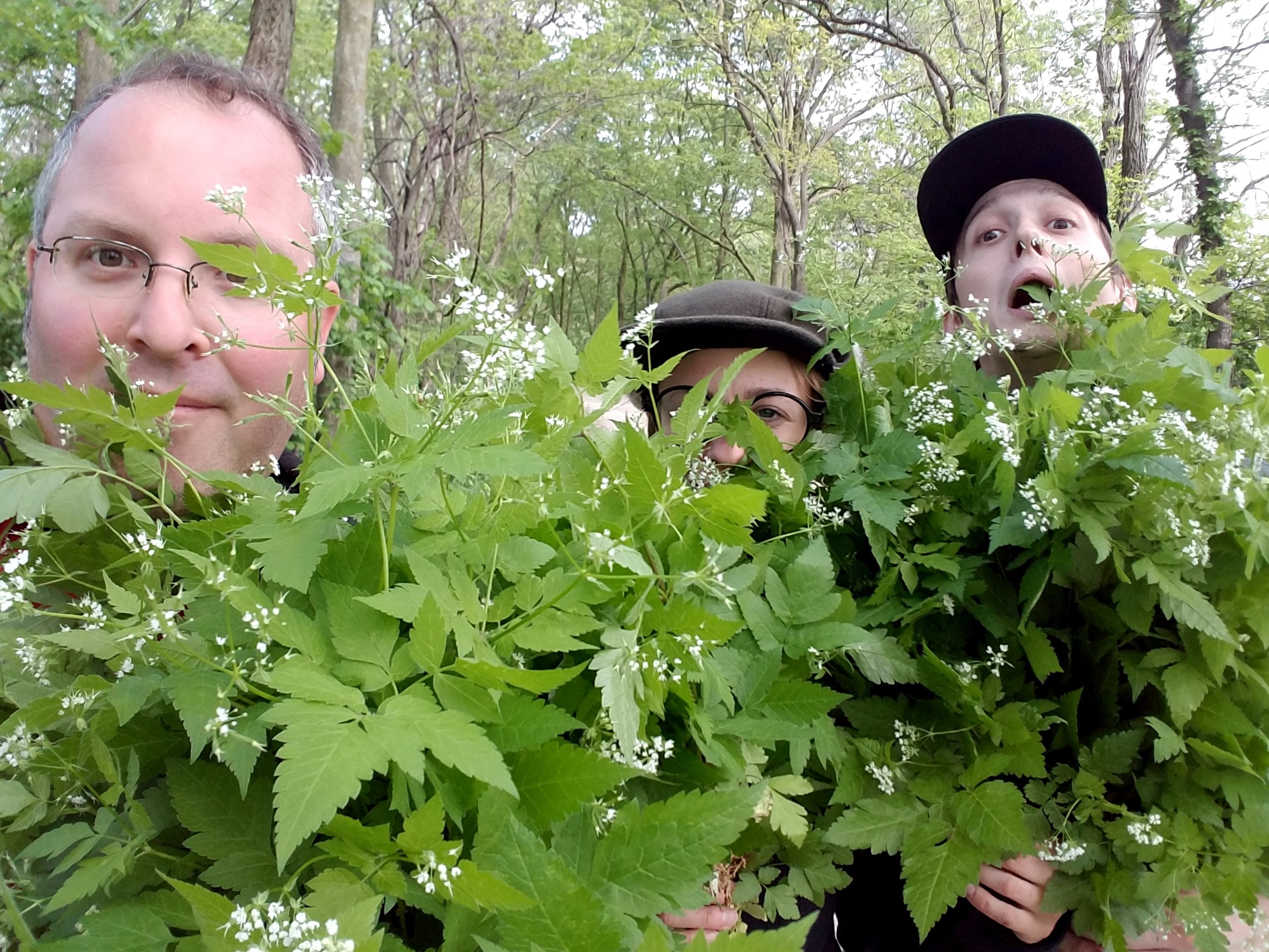 Sweet Cicely and the Odd Crew