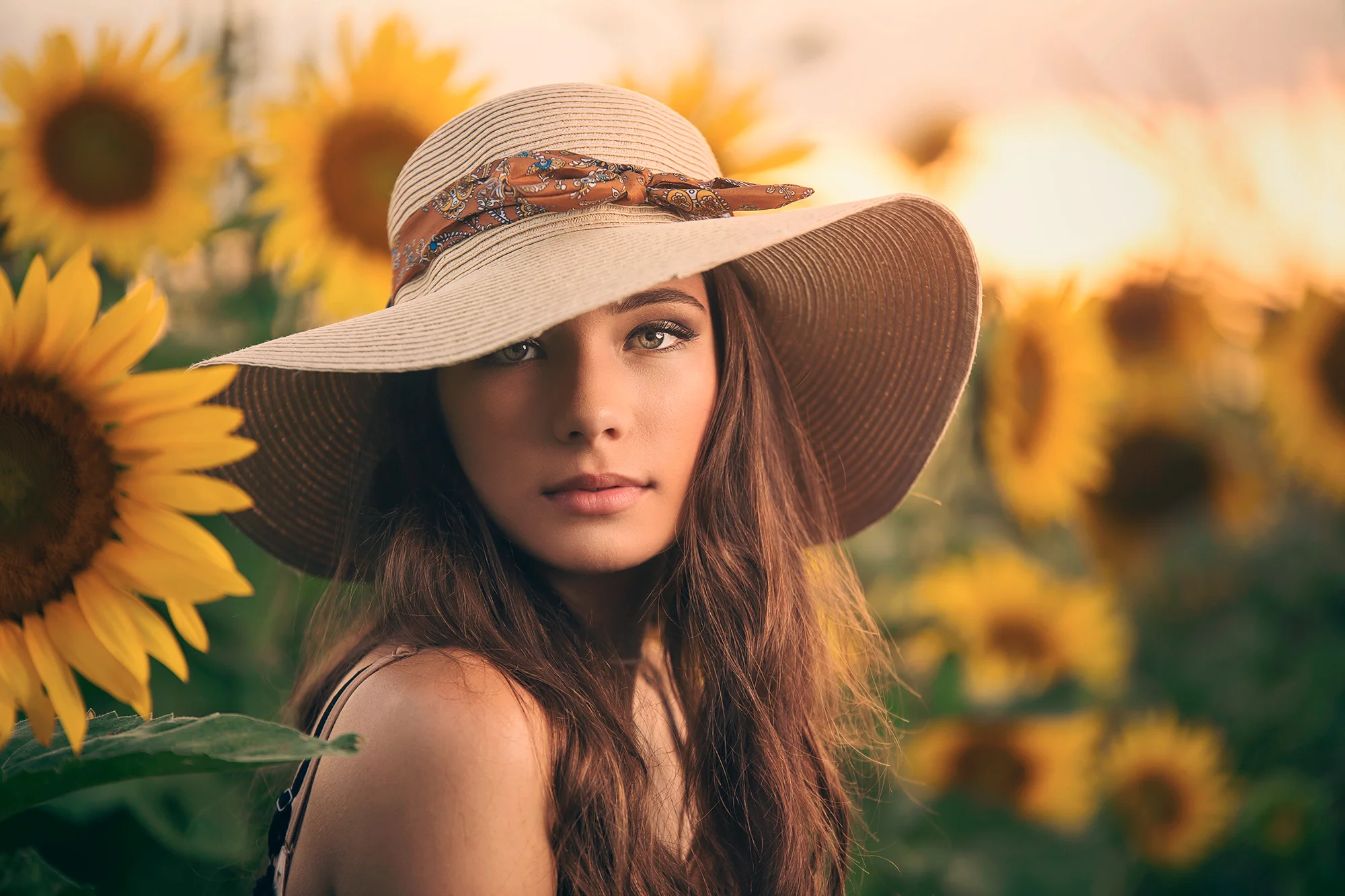 Sunflowers-12-marketing.jpg
