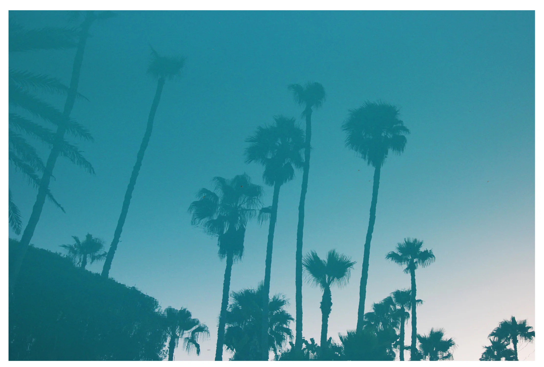 Ensenada.jpg
