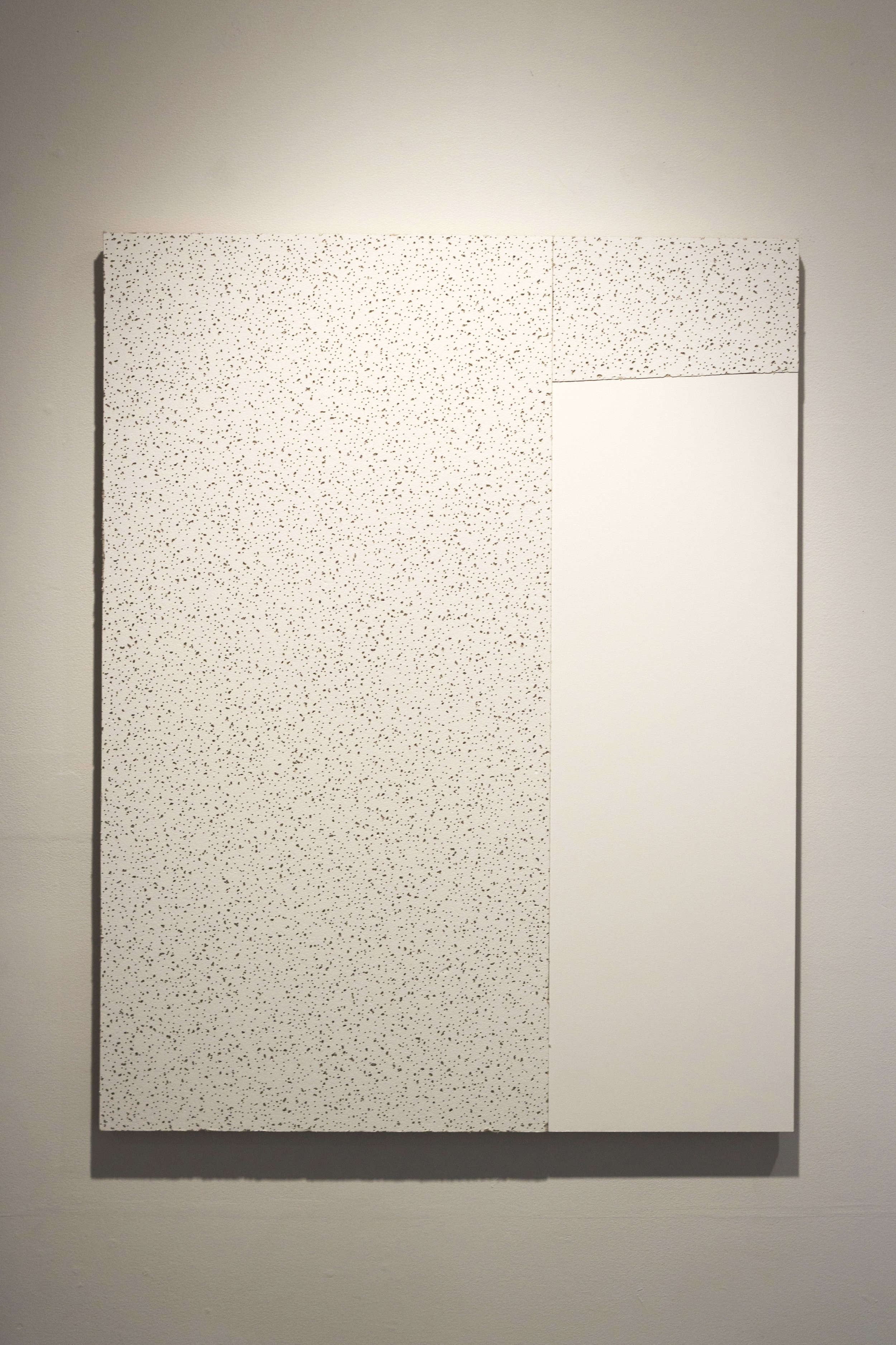 Untitled (Ceiling 2)